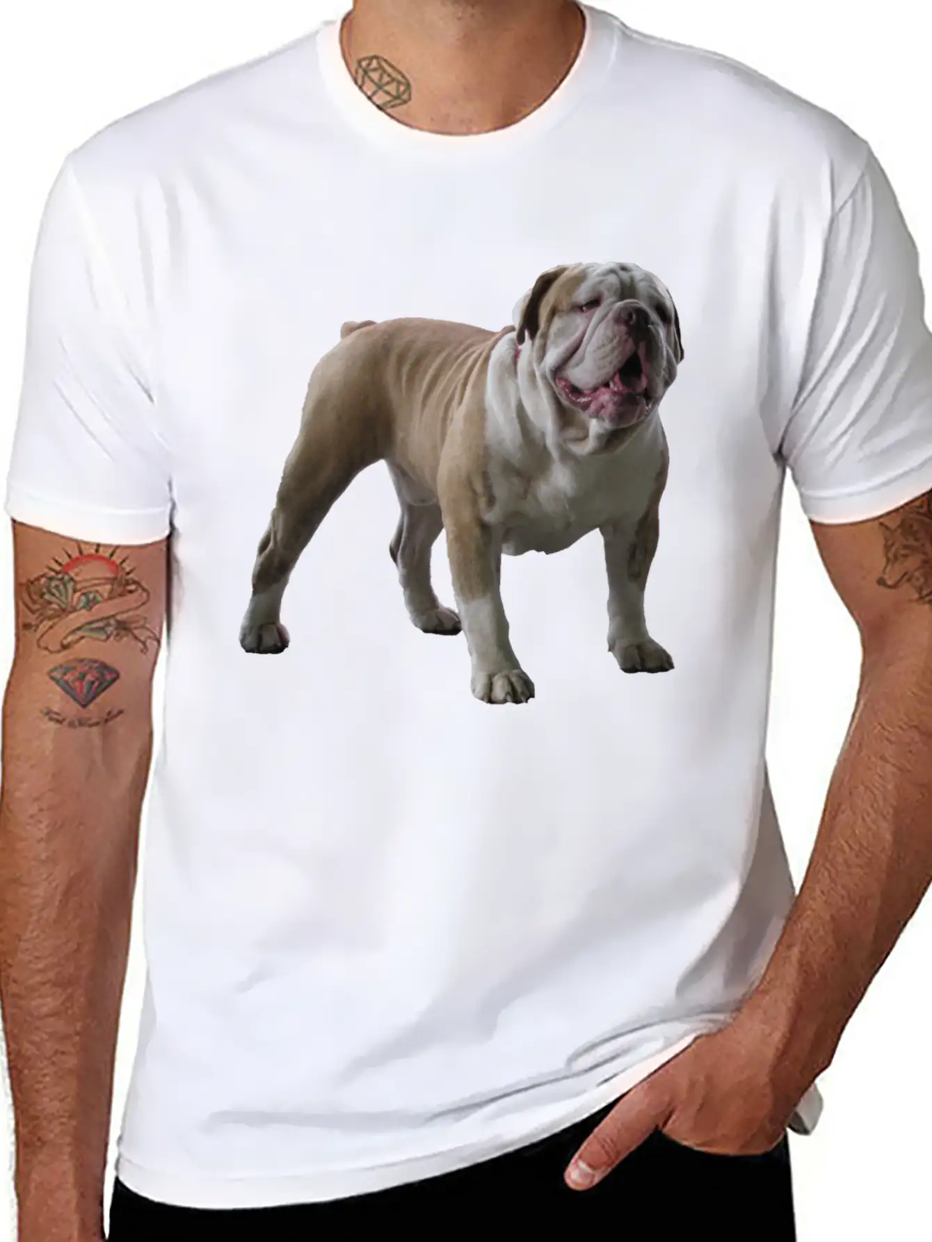 Bull Dog Stylish Everyday T-Shirt – Unisex Basic Cotton Tee
