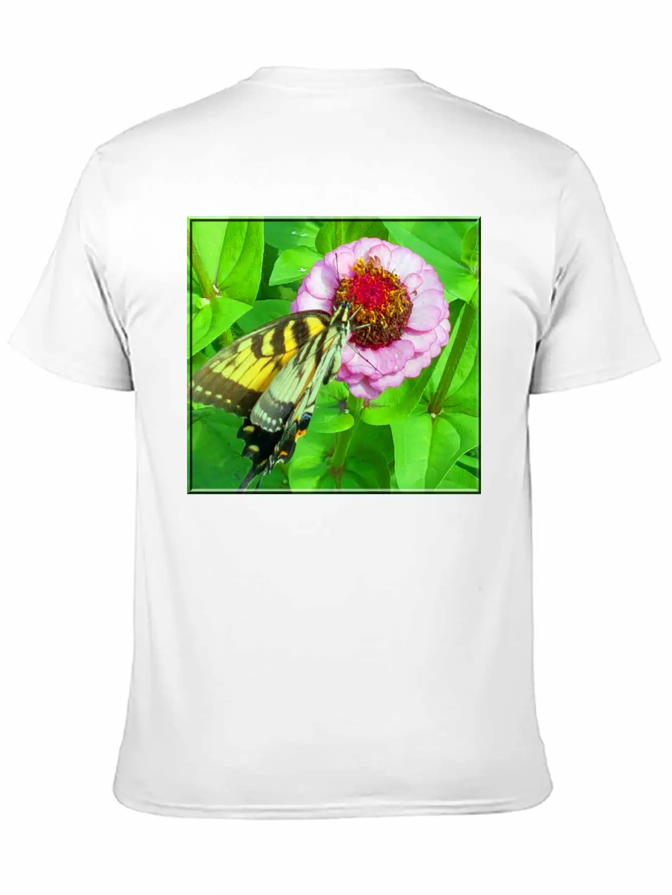 Butterfly And Zinnia Comfortable Minimalist Graphic Tee – Summer Style Essential