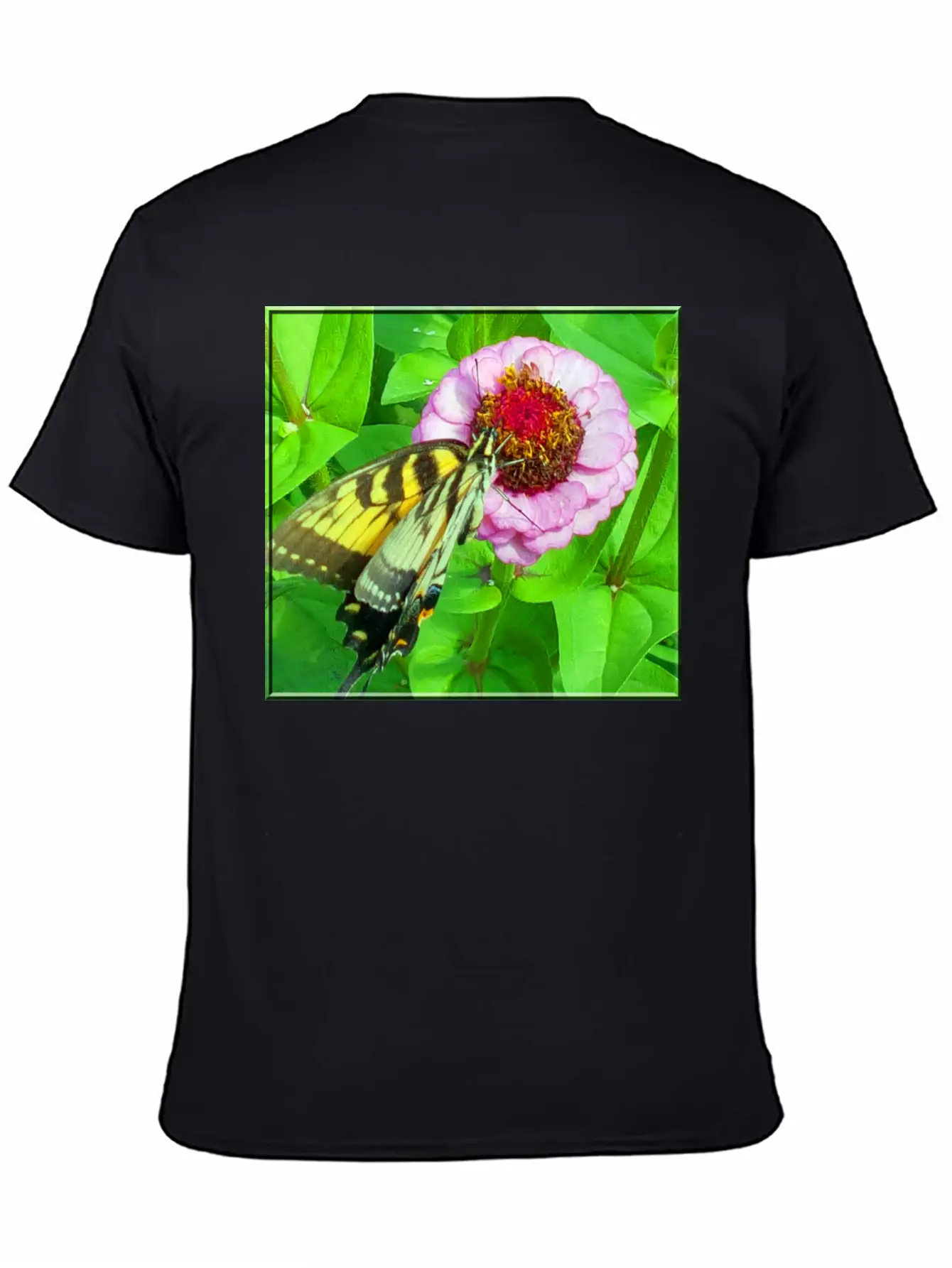 Butterfly And Zinnia Comfortable Minimalist Graphic Tee – Summer Style Essential