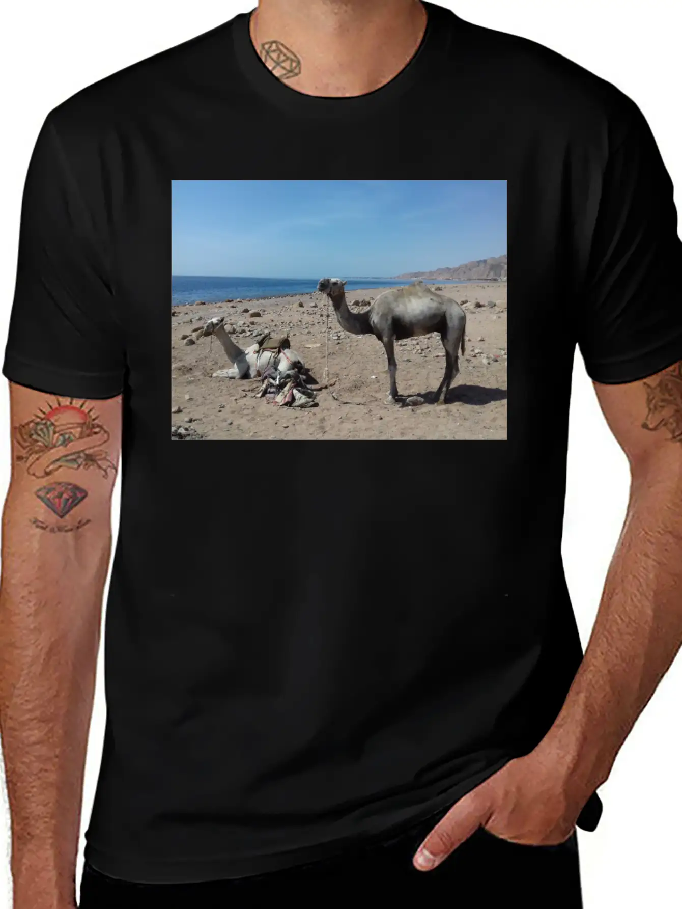 Camels Are Opposite The Red Sea, Dahab, Egypt Essential Unisex Summer Tee – Soft Cotton Casual Fit