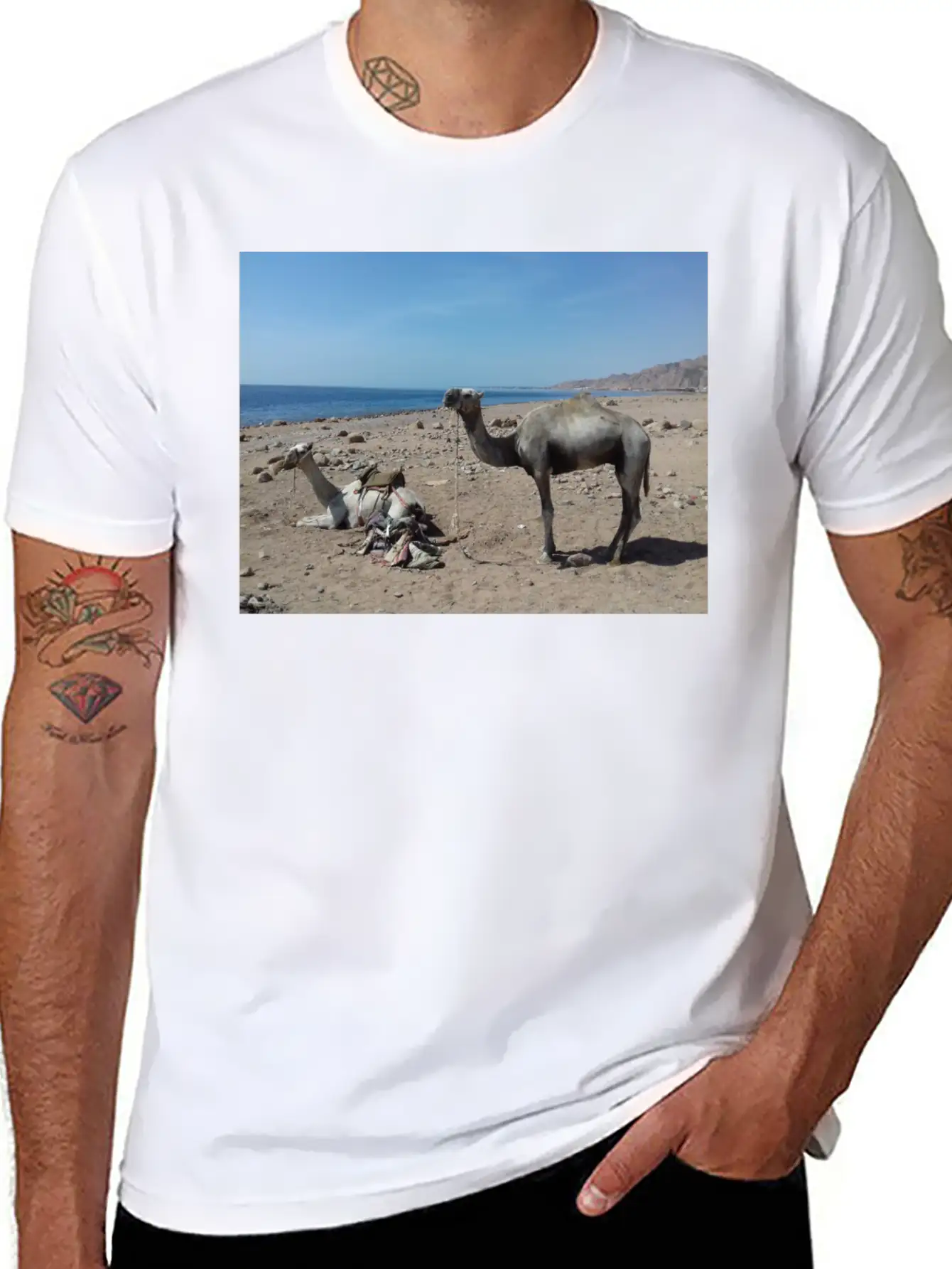 Camels Are Opposite The Red Sea, Dahab, Egypt Essential Unisex Summer Tee – Soft Cotton Casual Fit