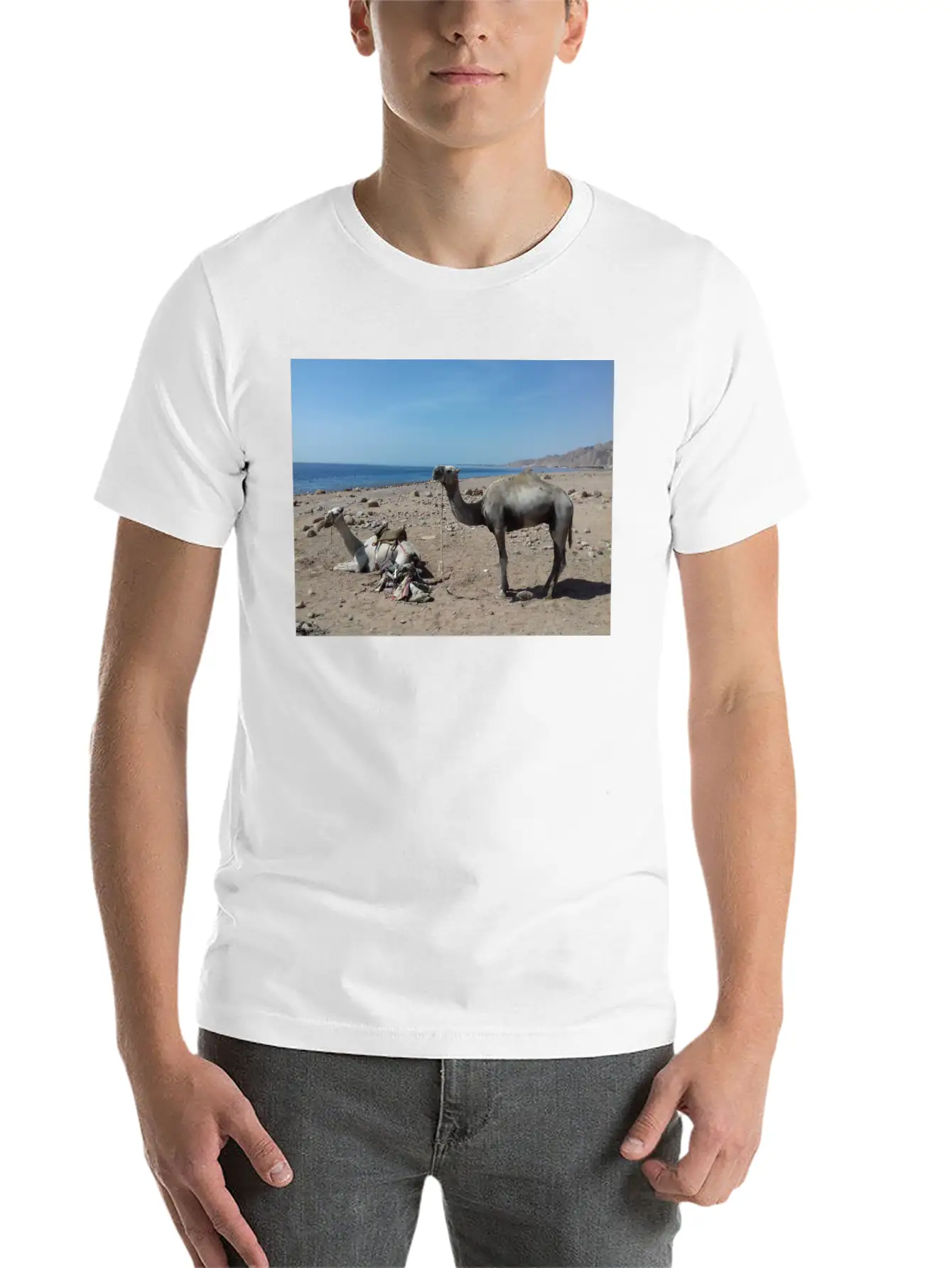 Camels Are Opposite The Red Sea, Dahab, Egypt Essential Unisex Summer Tee – Soft Cotton Casual Fit