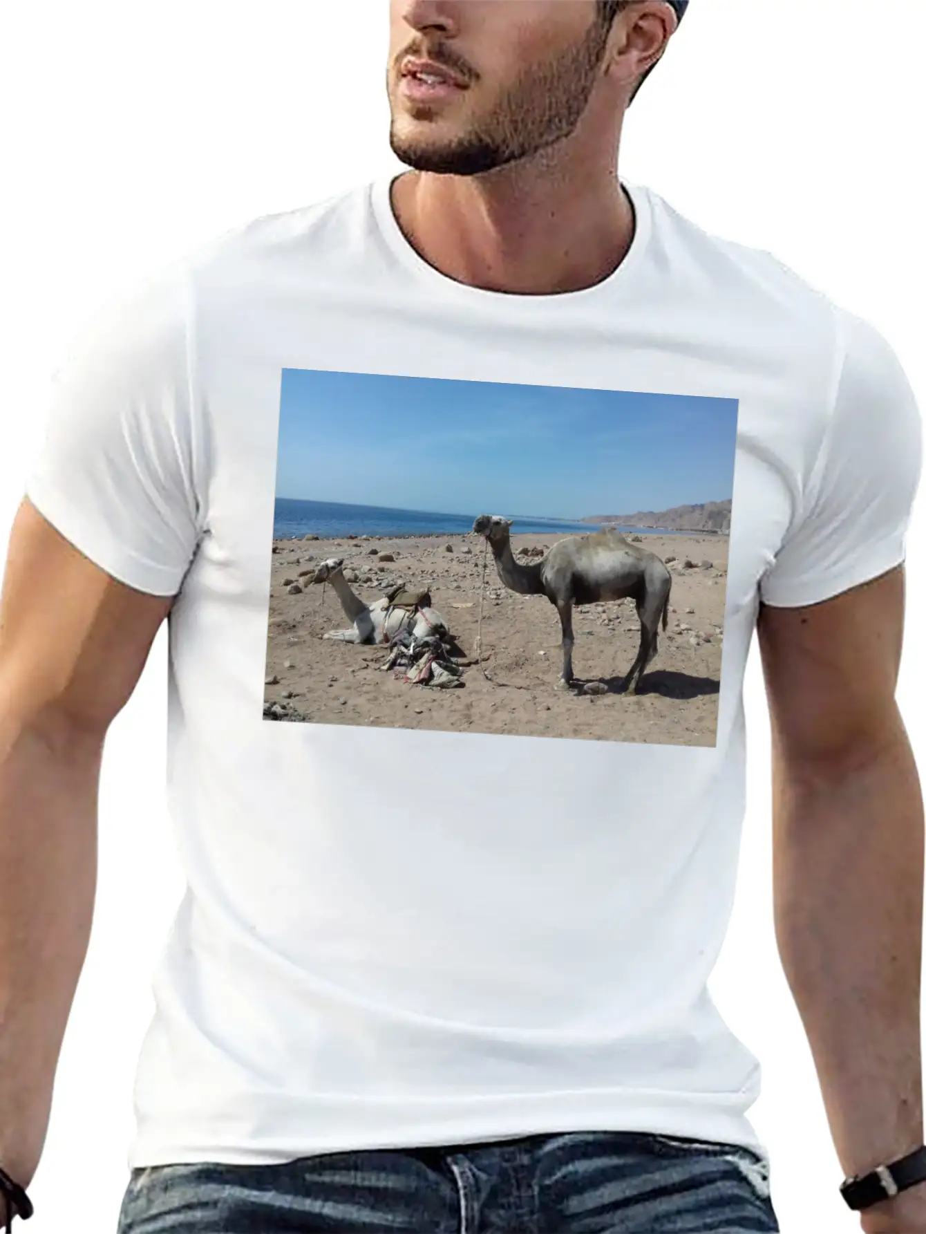 Camels Are Opposite The Red Sea, Dahab, Egypt Essential Unisex Summer Tee – Soft Cotton Casual Fit