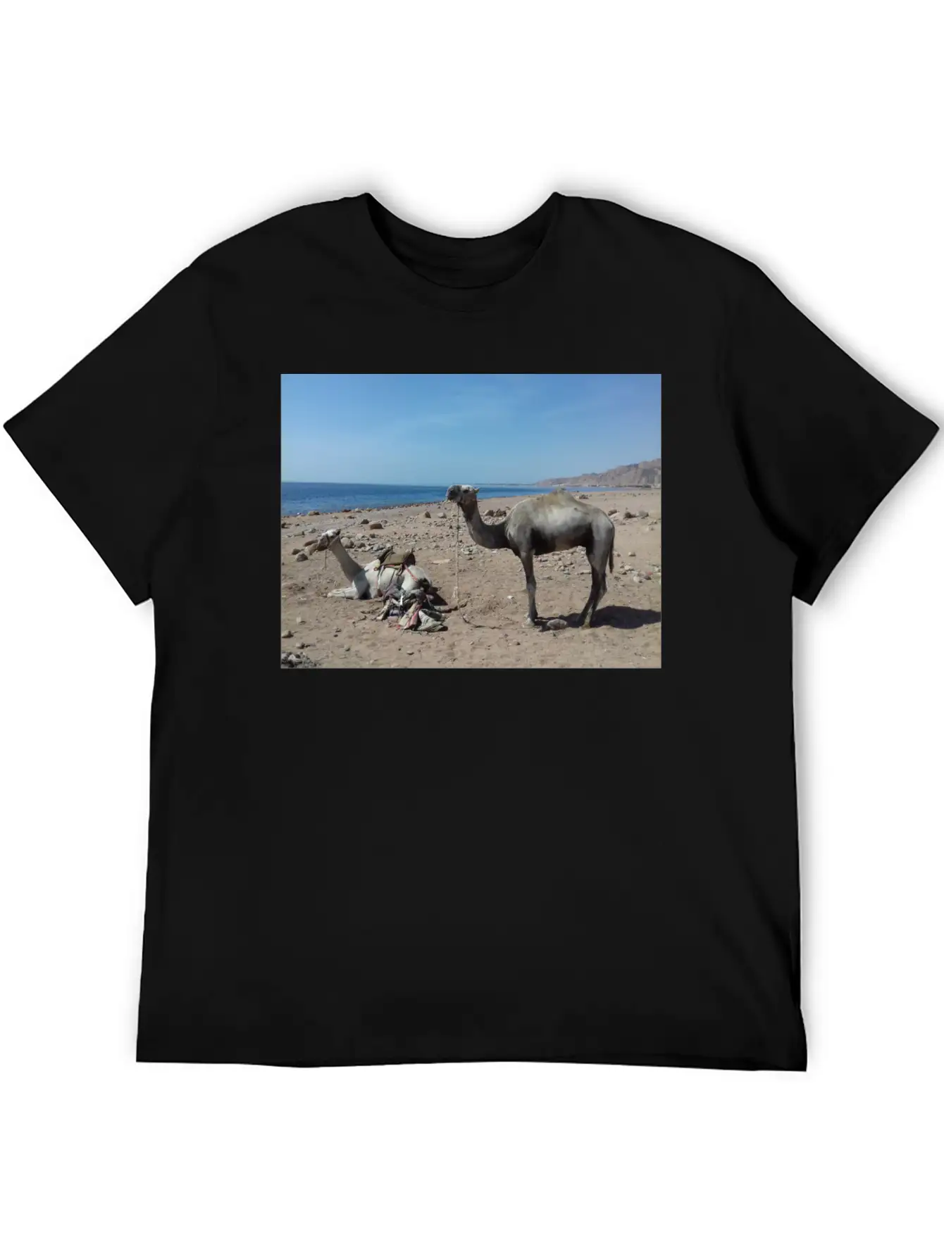 Camels Are Opposite The Red Sea, Dahab, Egypt Essential Unisex Summer Tee – Soft Cotton Casual Fit