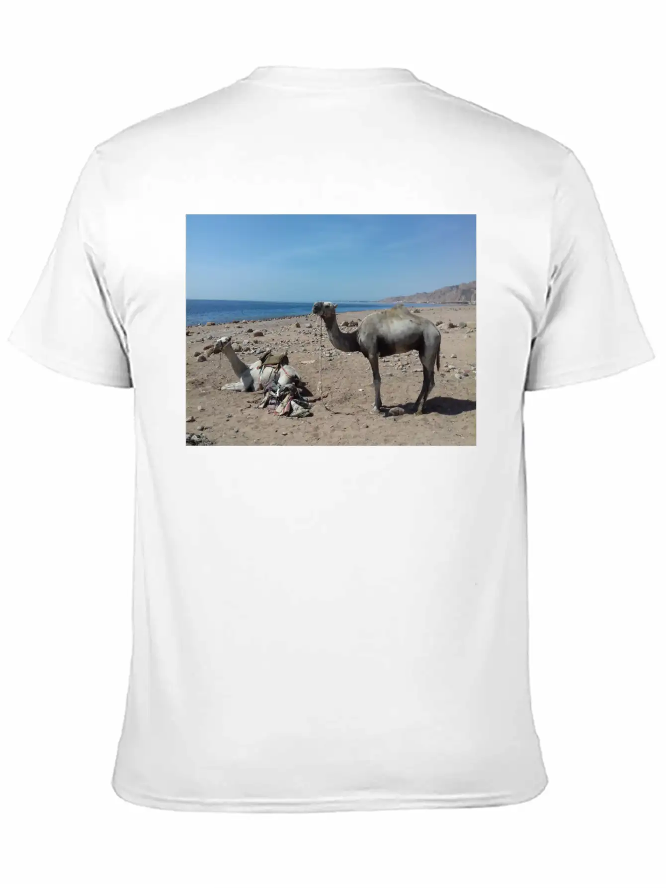 Camels Are Opposite The Red Sea, Dahab, Egypt Essential Unisex Summer Tee – Soft Cotton Casual Fit