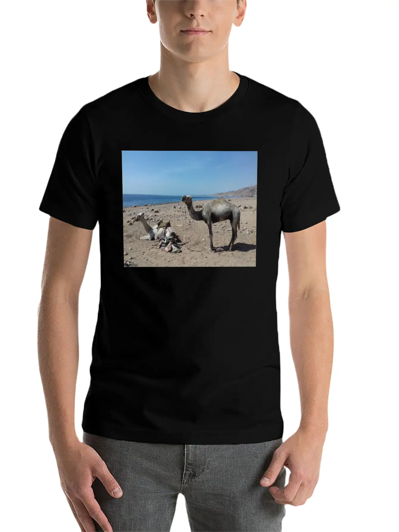 Camels Are Opposite The Red Sea, Dahab, Egypt Essential Unisex Summer Tee – Soft Cotton Casual Fit