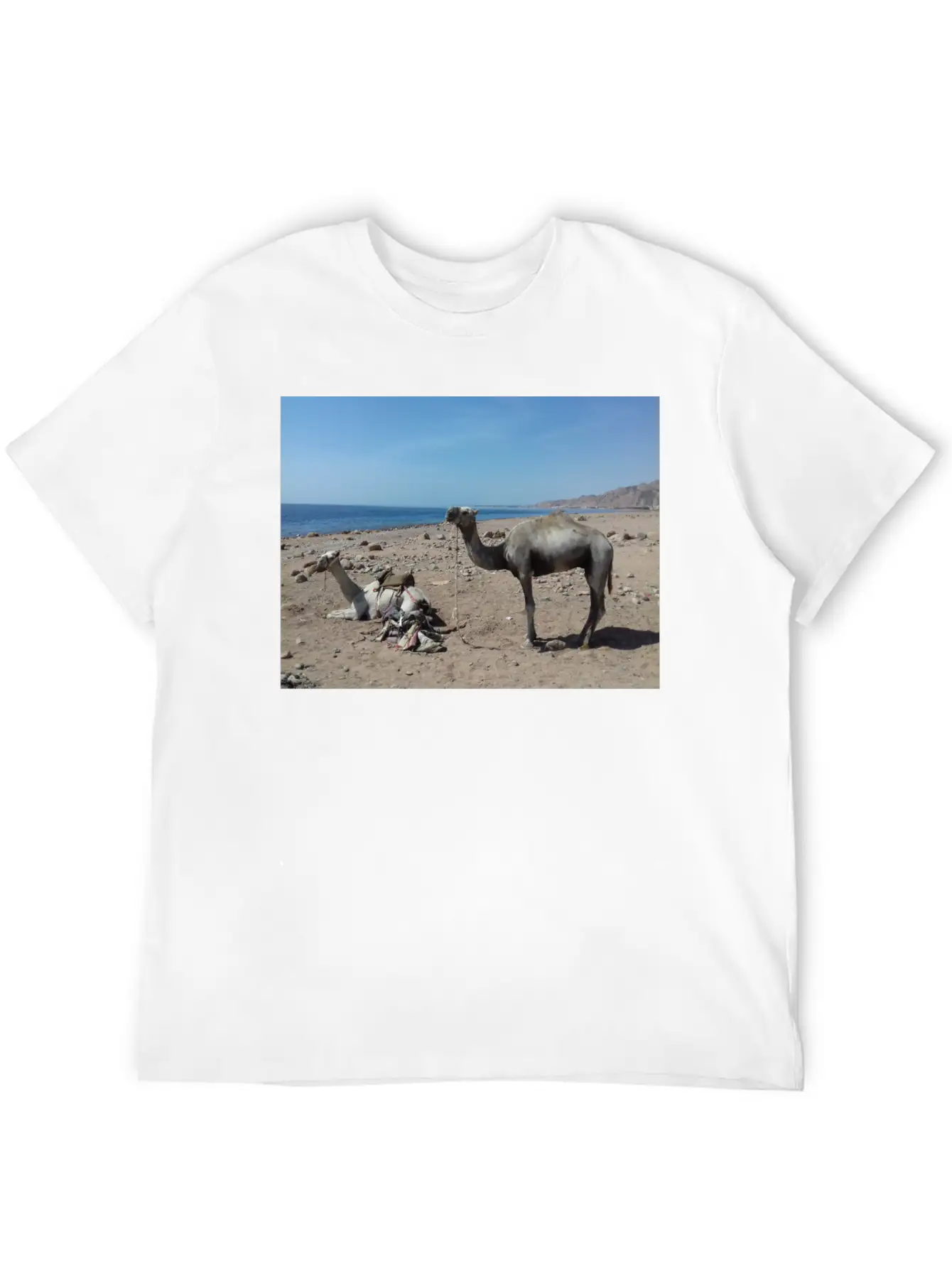 Camels Are Opposite The Red Sea, Dahab, Egypt Essential Unisex Summer Tee – Soft Cotton Casual Fit