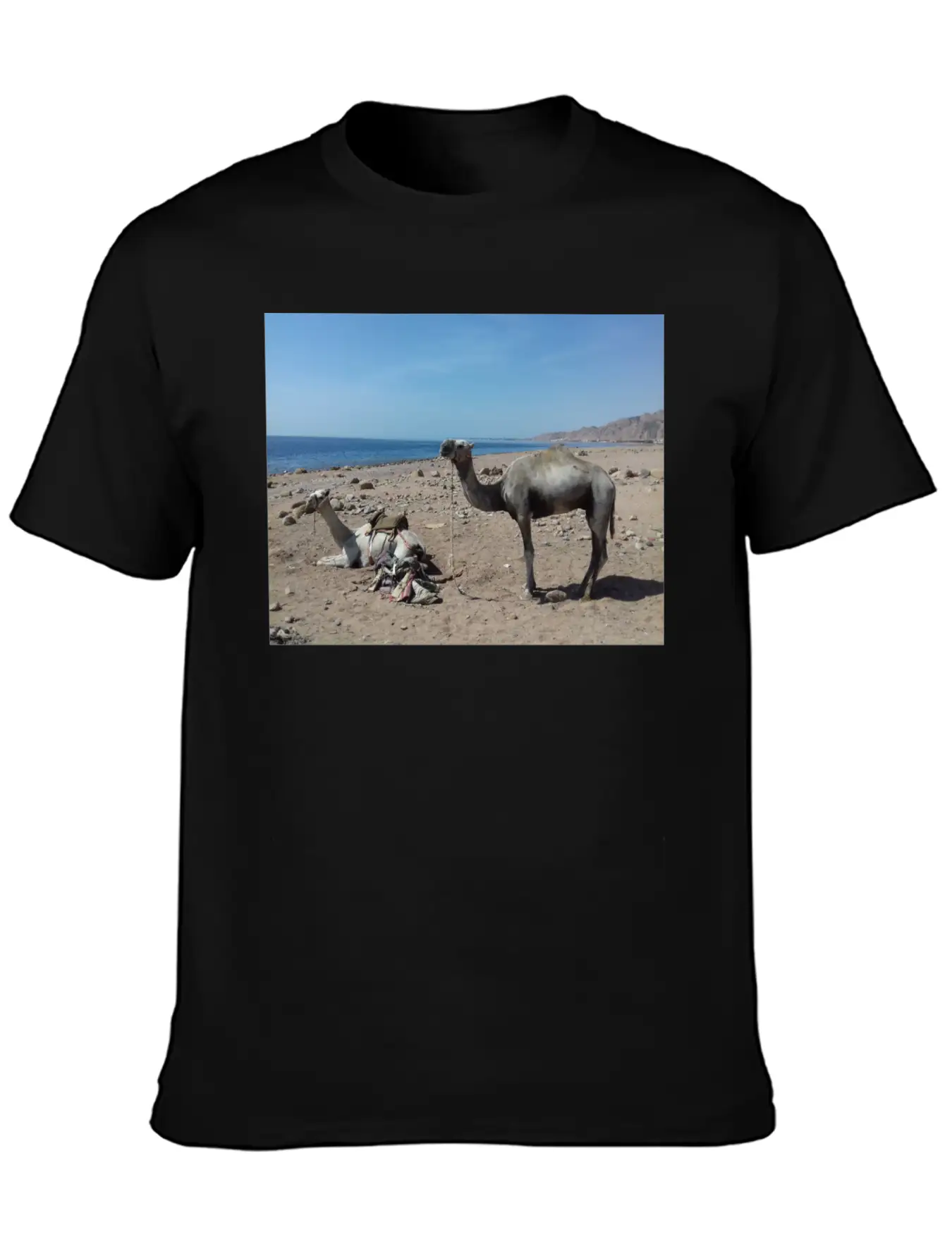 Camels Are Opposite The Red Sea, Dahab, Egypt Essential Unisex Summer Tee – Soft Cotton Casual Fit