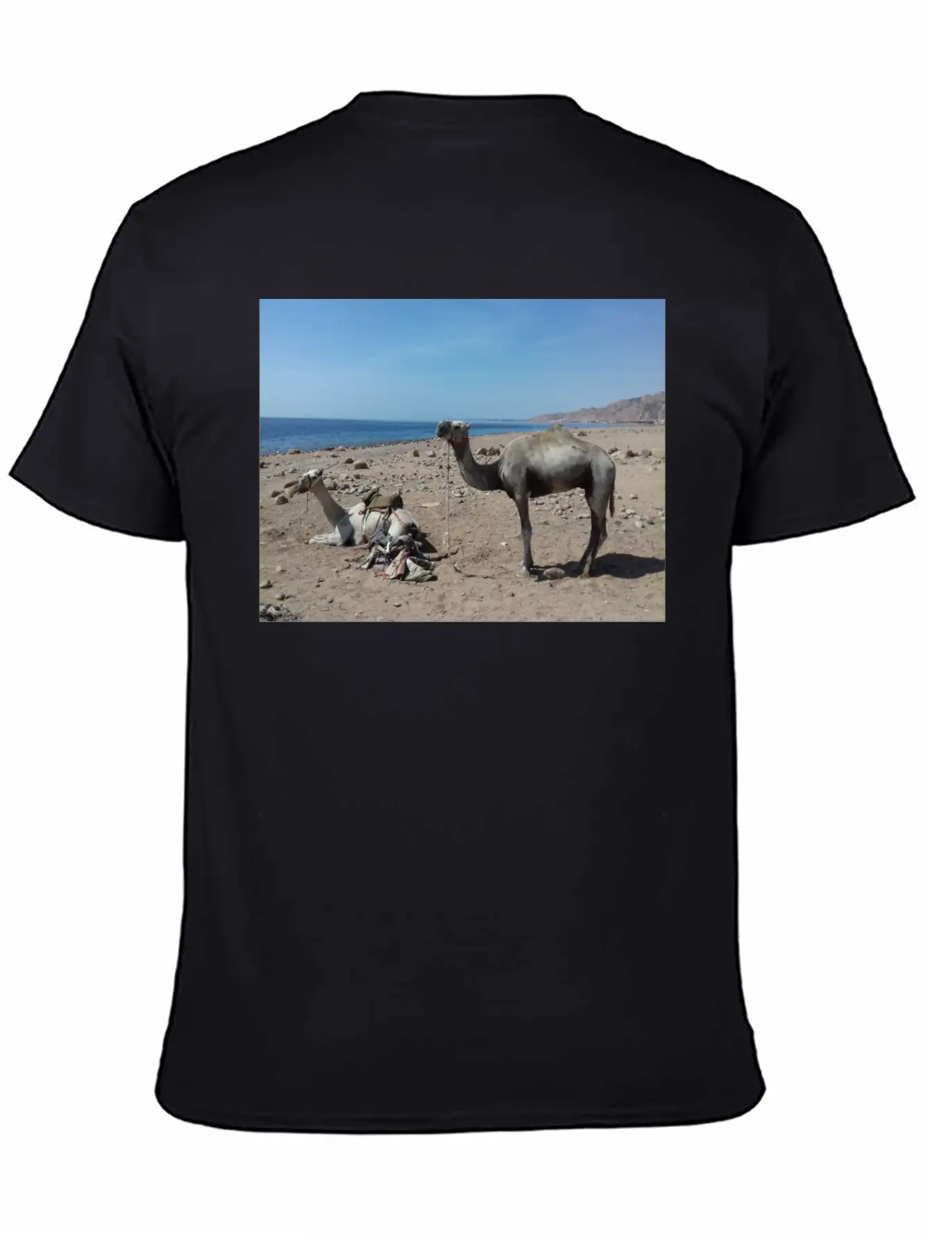 Camels Are Opposite The Red Sea, Dahab, Egypt Essential Unisex Summer Tee – Soft Cotton Casual Fit