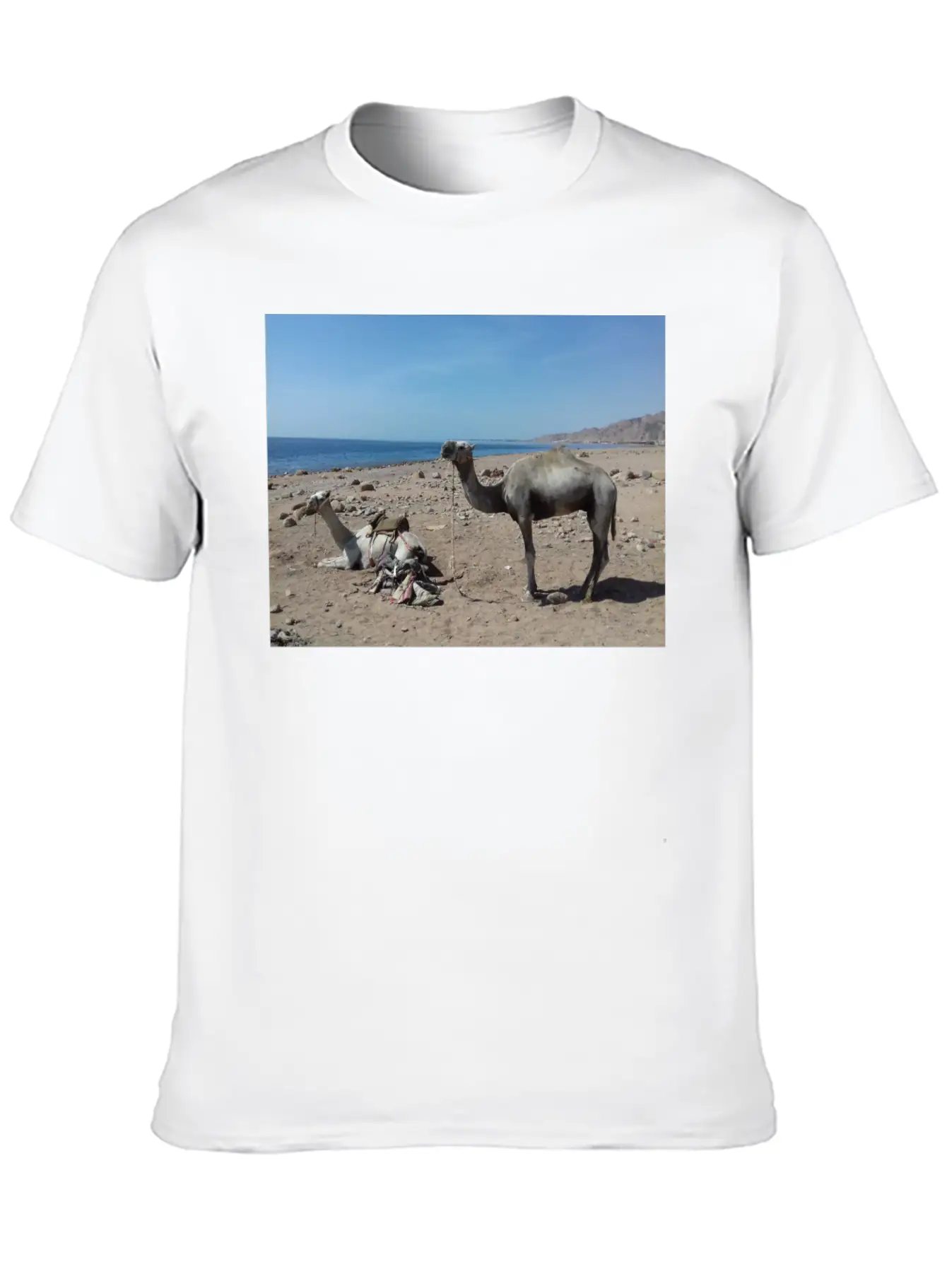 Camels Are Opposite The Red Sea, Dahab, Egypt Essential Unisex Summer Tee – Soft Cotton Casual Fit