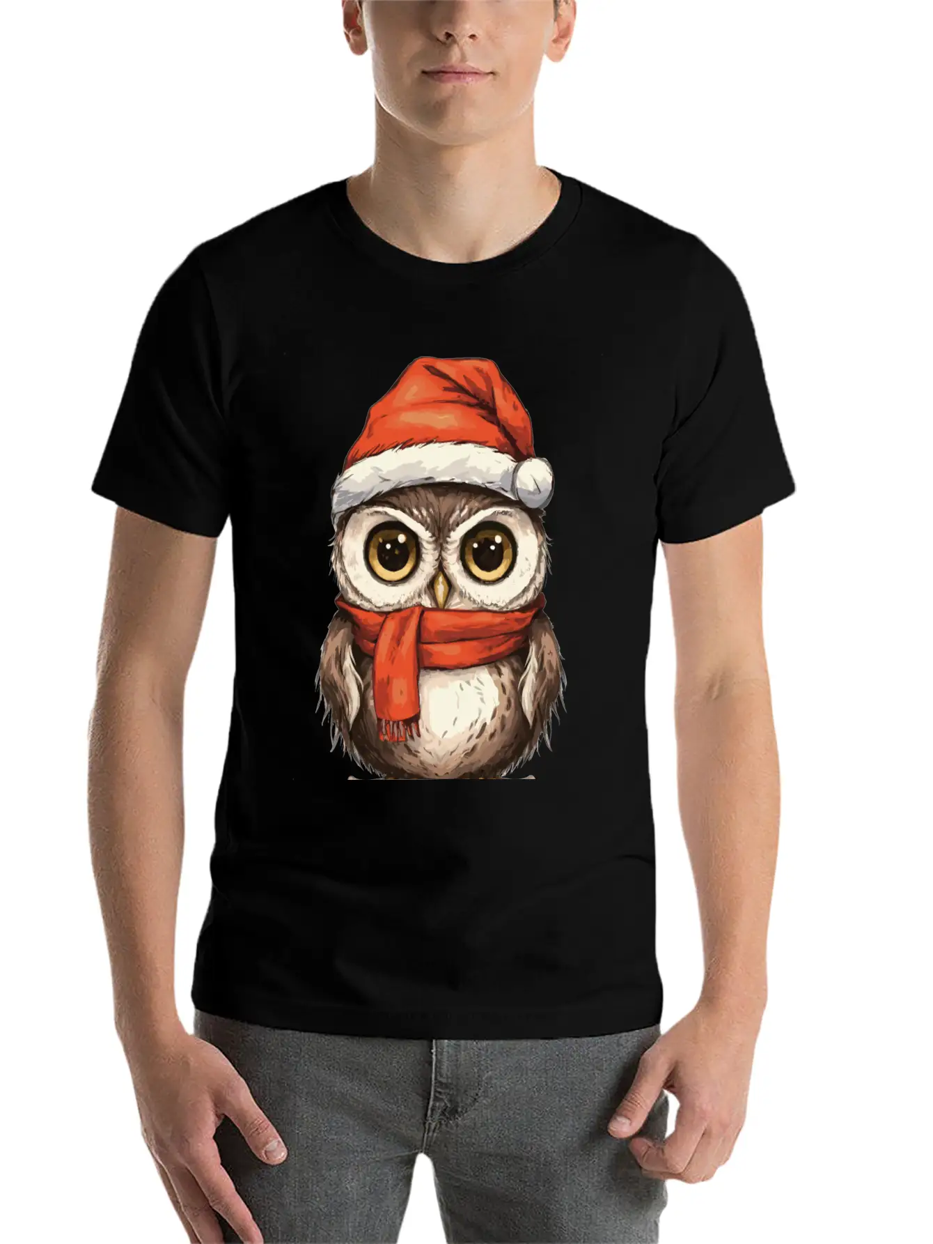Christmas Holiday Big Eyed Owl Comfortable Minimalist Graphic Tee – Summer Style Essential