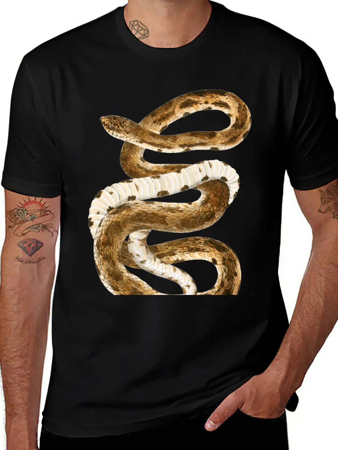 Eastern Pine Snake Illustration Comfortable Minimalist Graphic Tee – Summer Style Essential