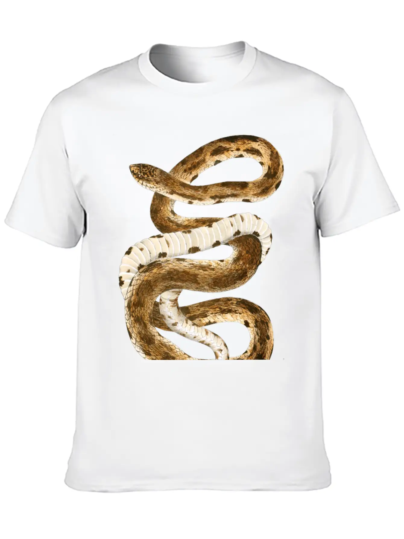 Eastern Pine Snake Illustration Comfortable Minimalist Graphic Tee – Summer Style Essential
