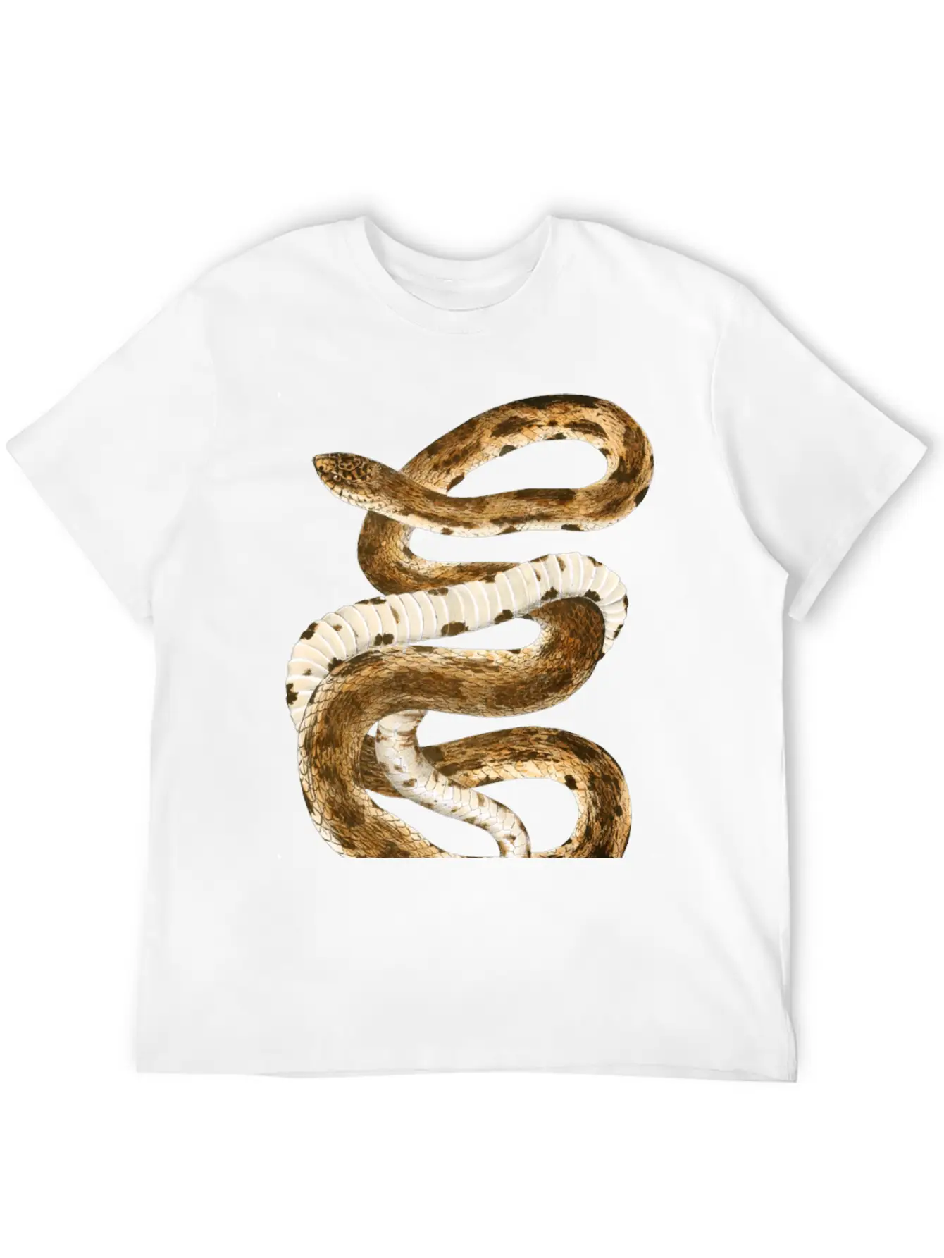 Eastern Pine Snake Illustration Comfortable Minimalist Graphic Tee – Summer Style Essential