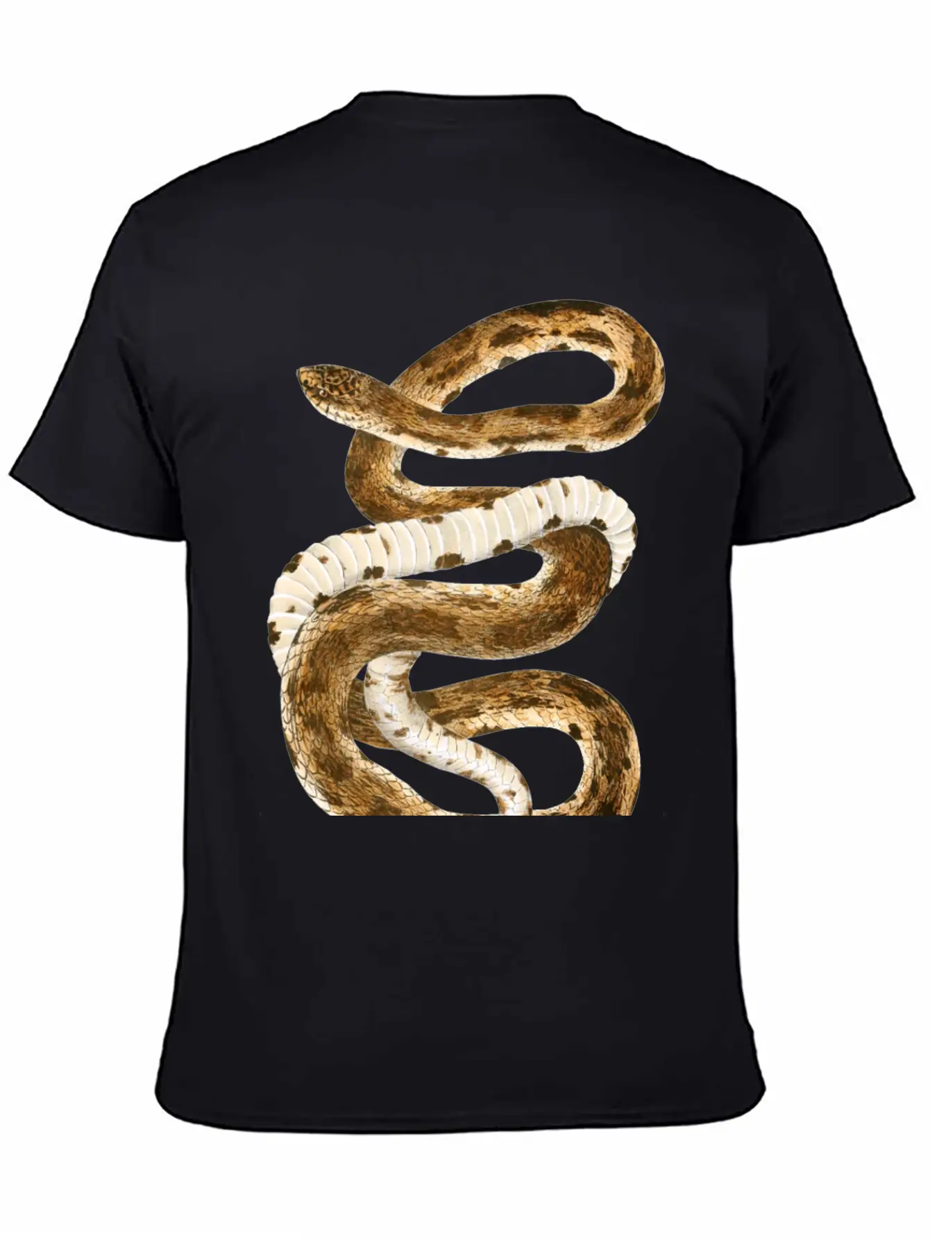 Eastern Pine Snake Illustration Comfortable Minimalist Graphic Tee – Summer Style Essential