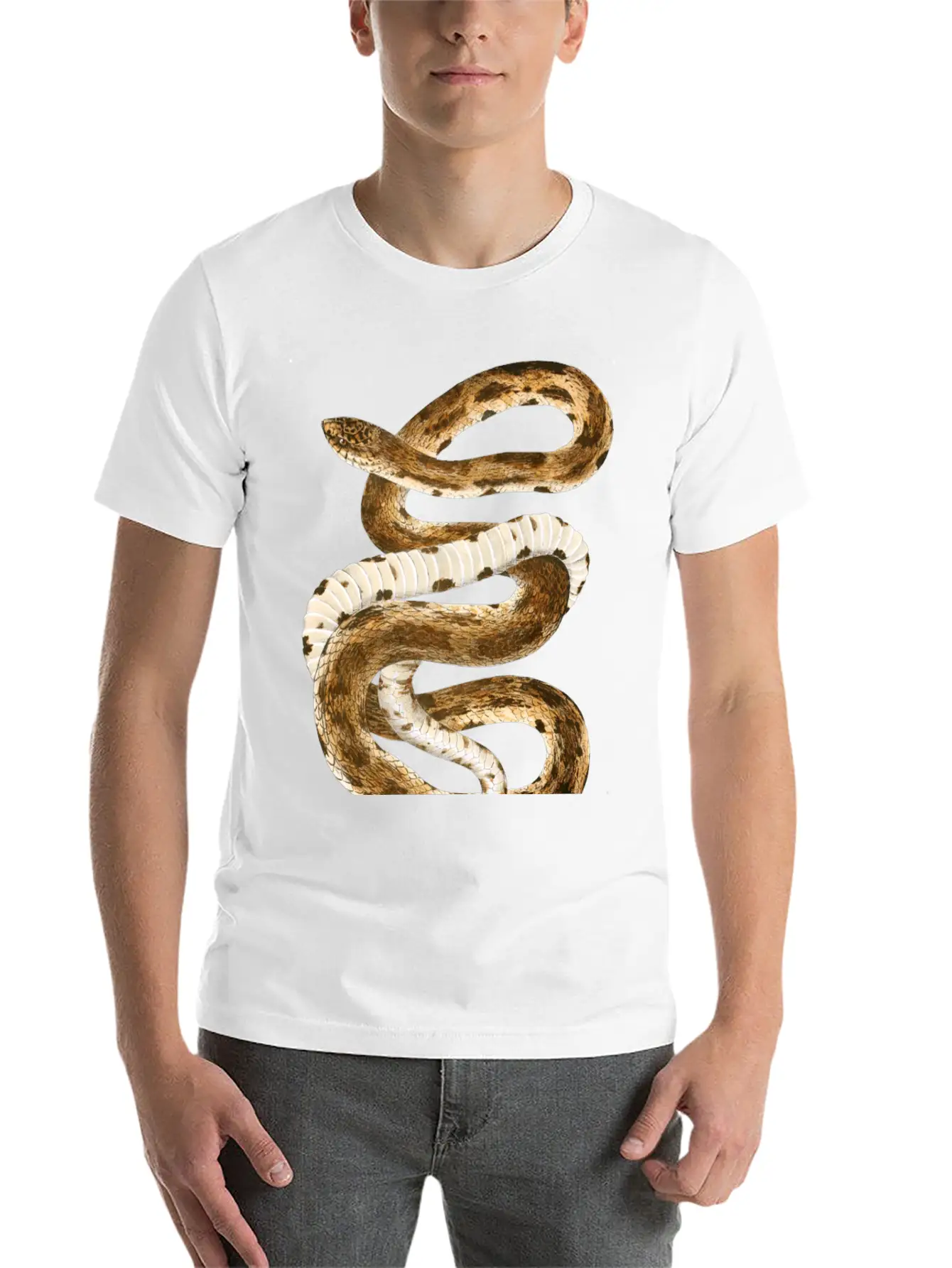 Eastern Pine Snake Illustration Comfortable Minimalist Graphic Tee – Summer Style Essential