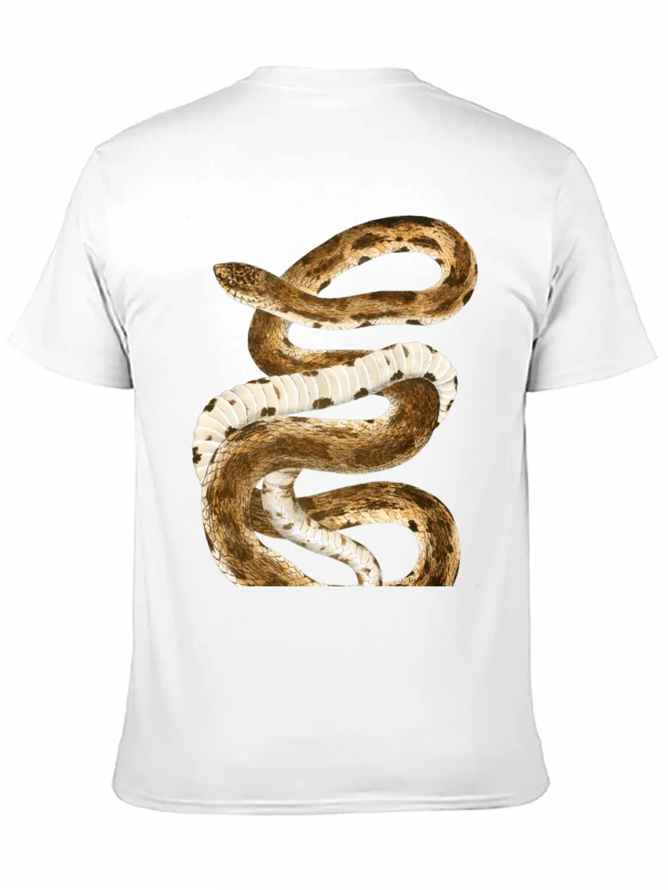 Eastern Pine Snake Illustration Comfortable Minimalist Graphic Tee – Summer Style Essential
