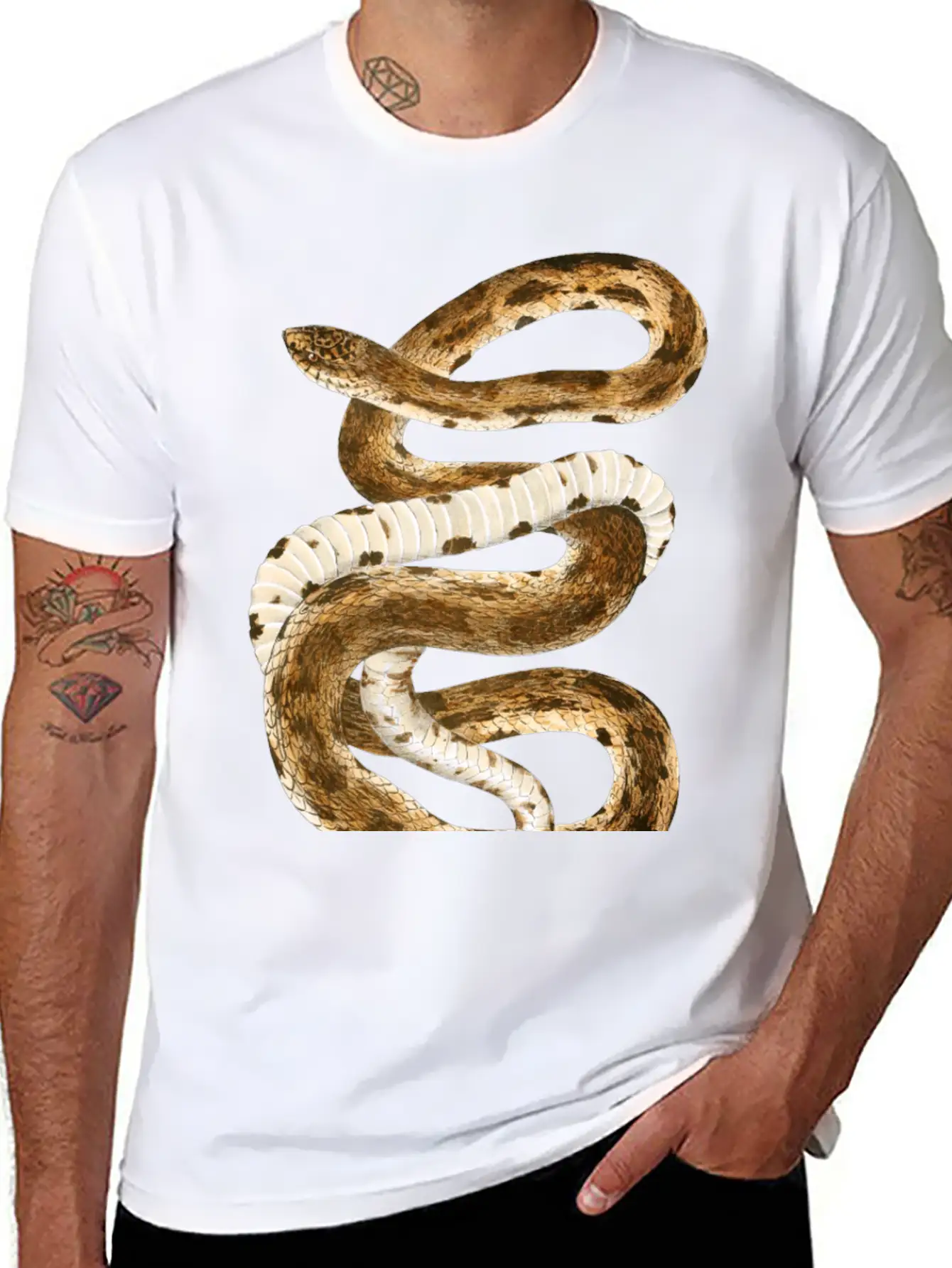 Eastern Pine Snake Illustration Comfortable Minimalist Graphic Tee – Summer Style Essential