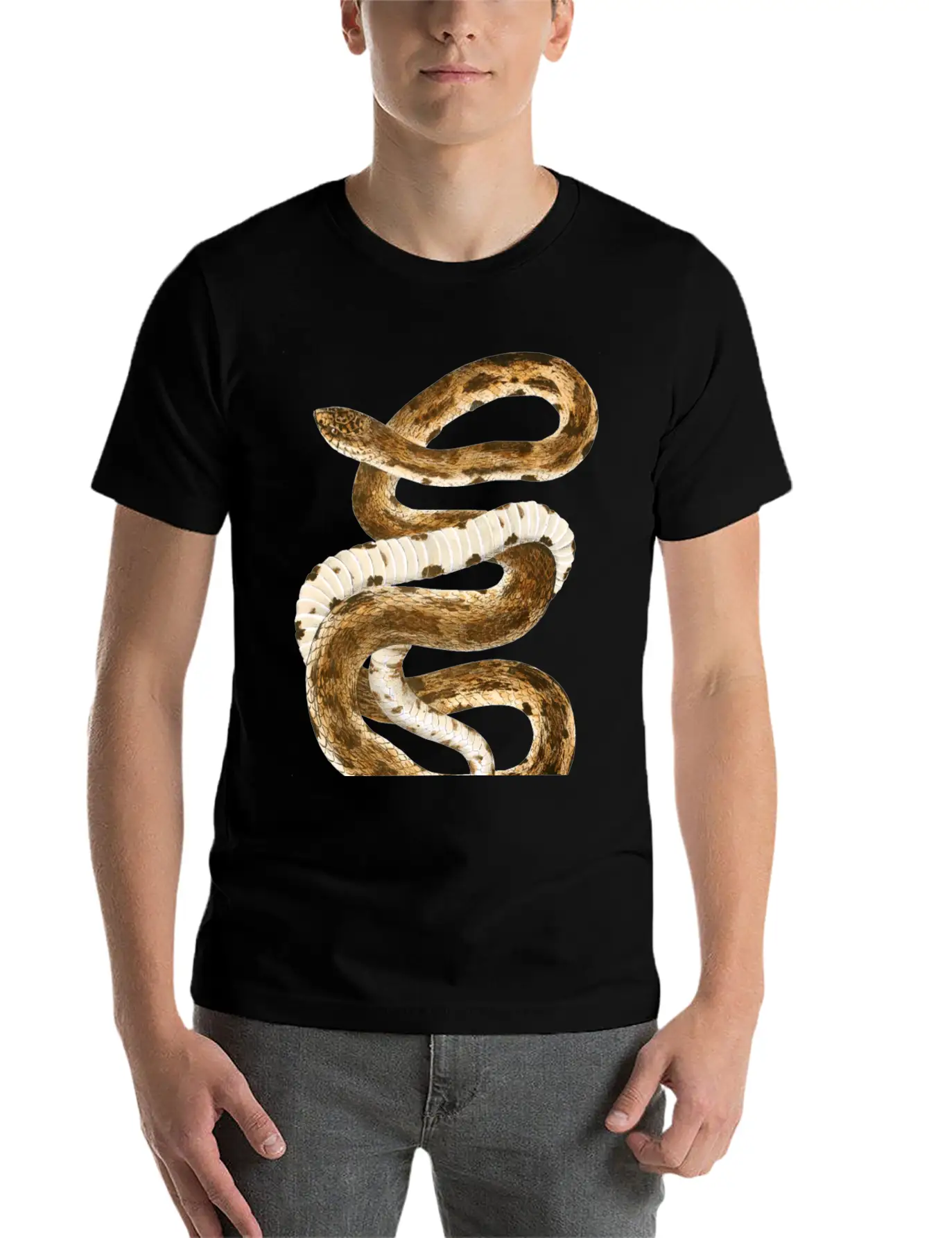 Eastern Pine Snake Illustration Comfortable Minimalist Graphic Tee – Summer Style Essential