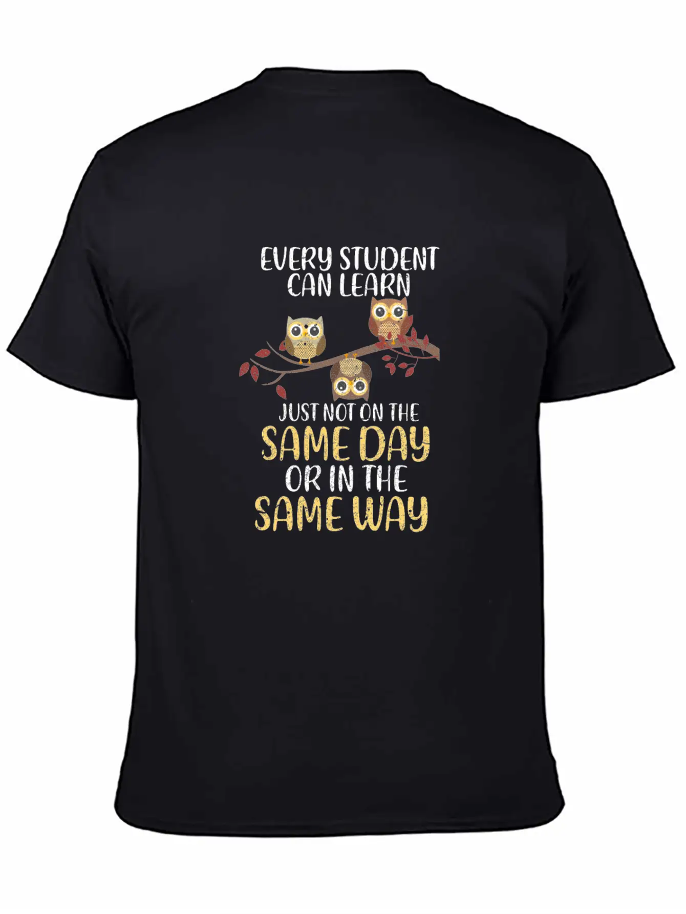 Every Student Can Learn Just Not On The Same Day Stylish Everyday T-Shirt – Unisex Basic Cotton Tee