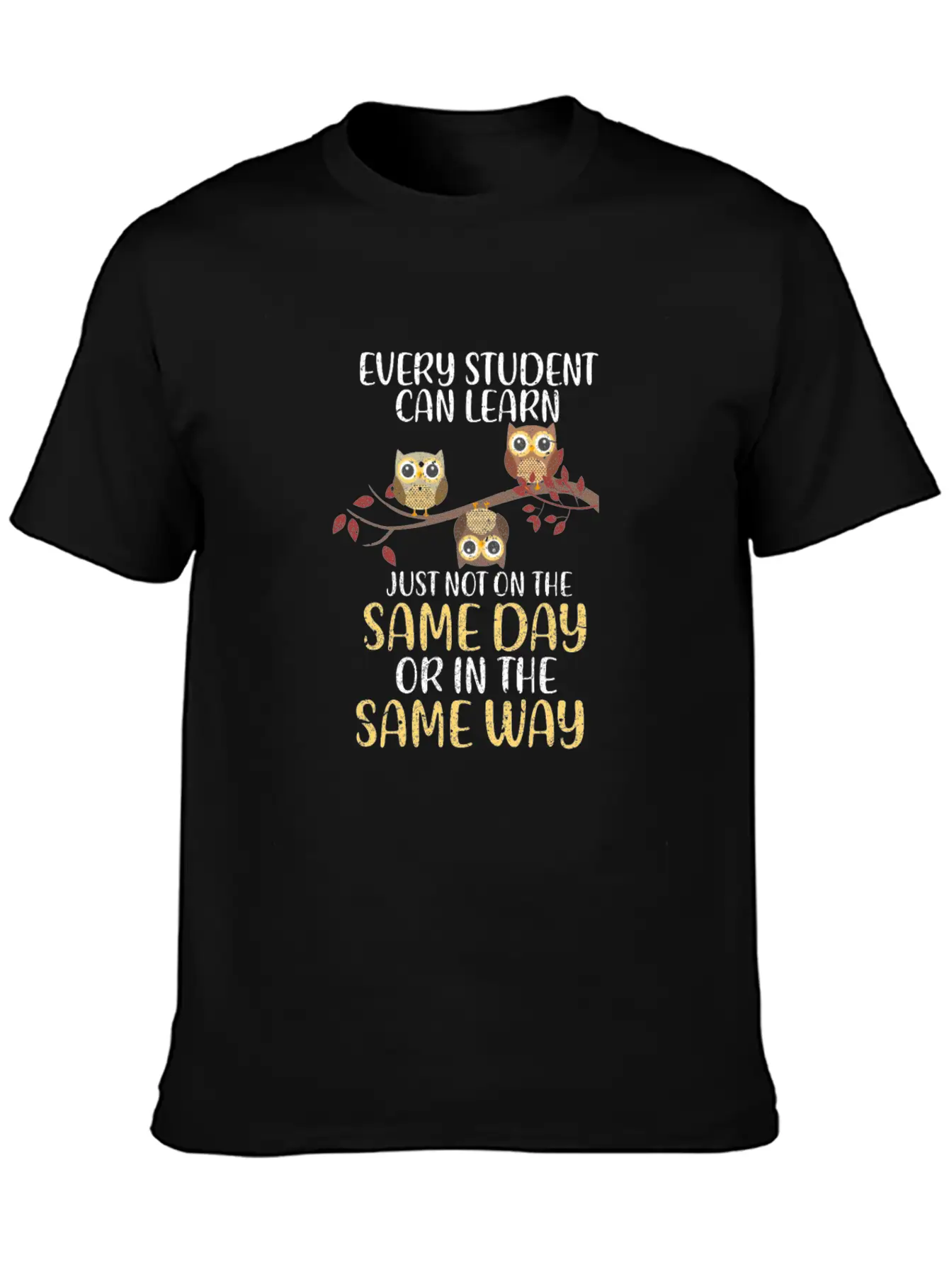 Every Student Can Learn Just Not On The Same Day Stylish Everyday T-Shirt – Unisex Basic Cotton Tee