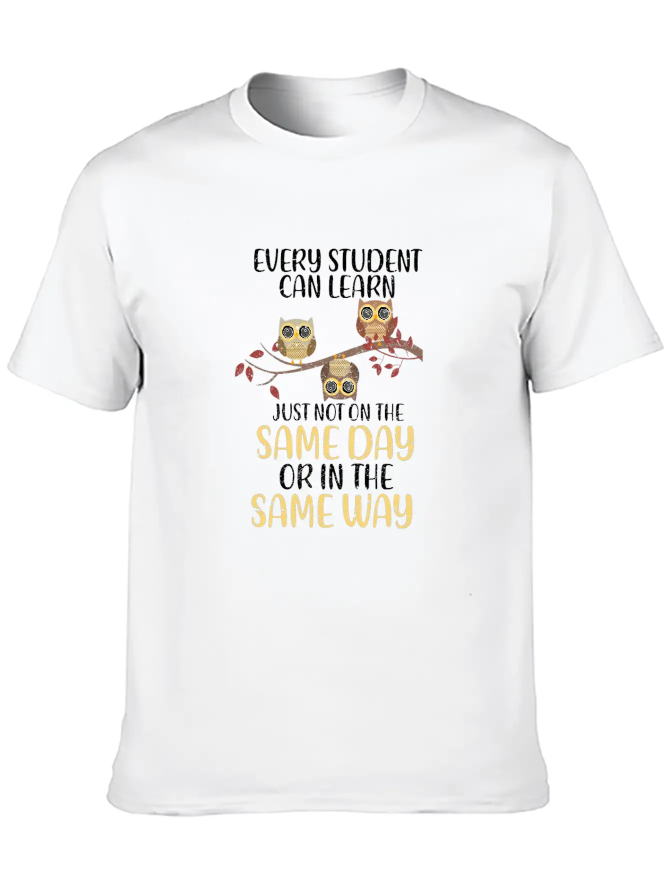Every Student Can Learn Just Not On The Same Day Stylish Everyday T-Shirt – Unisex Basic Cotton Tee