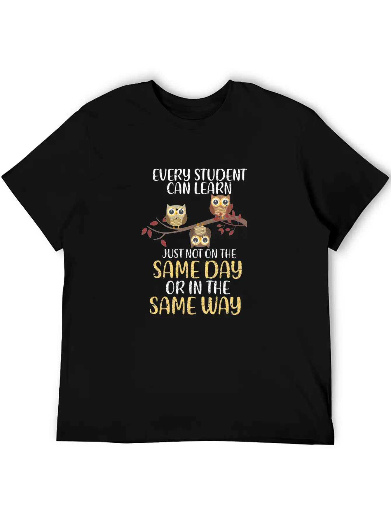 Every Student Can Learn Just Not On The Same Day Stylish Everyday T-Shirt – Unisex Basic Cotton Tee