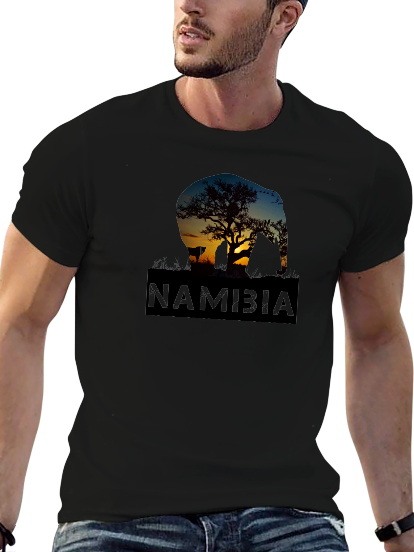Namibia Sunset Elephant Graphic T-Shirt