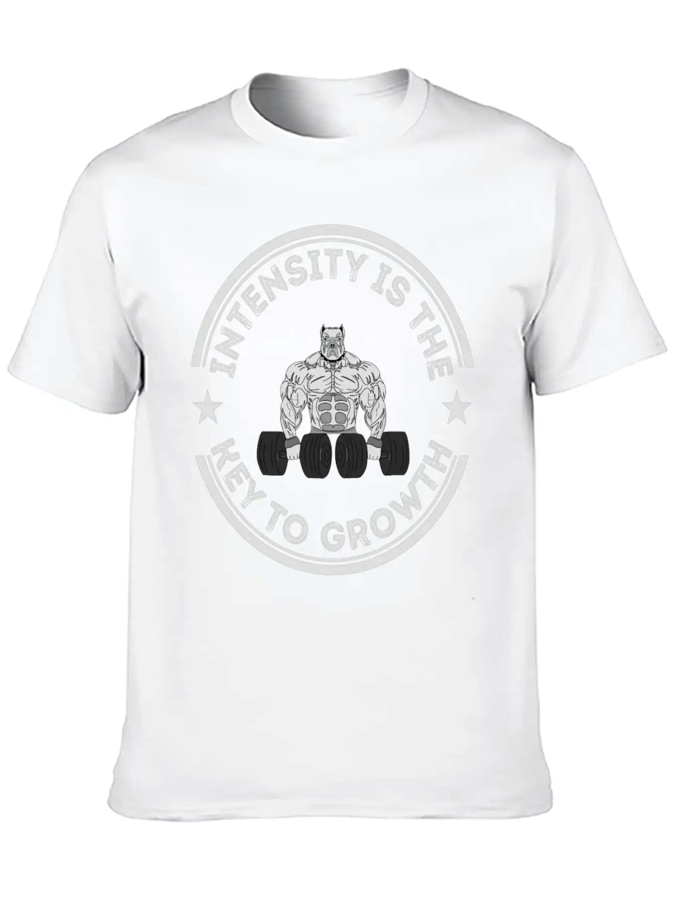 Intensity Is The Key To Growth Bodybuilder Bodybui Basic Graphic T-Shirt – Daily Comfort In Soft Cotton