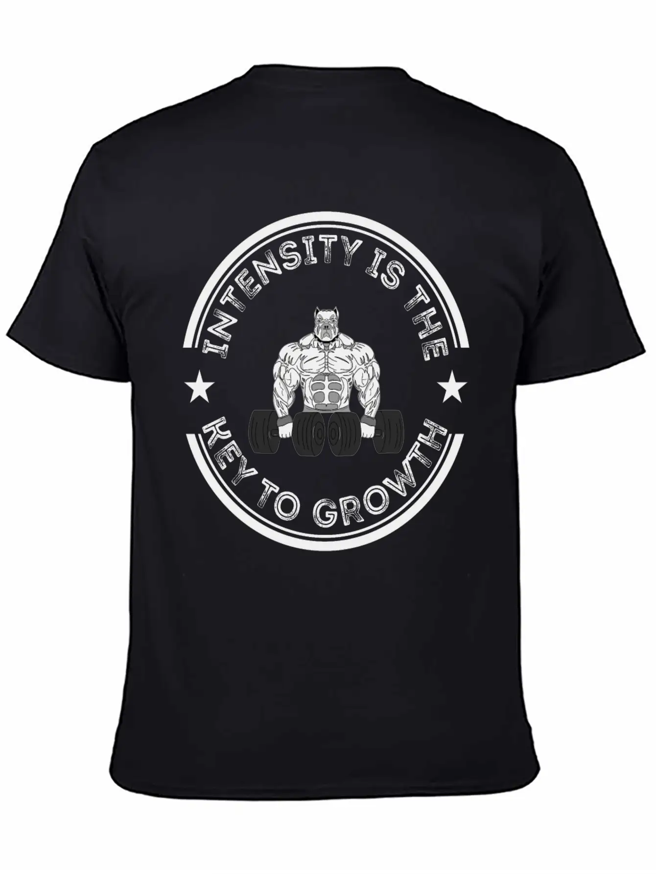Intensity Is The Key To Growth Bodybuilder Bodybui Basic Graphic T-Shirt – Daily Comfort In Soft Cotton