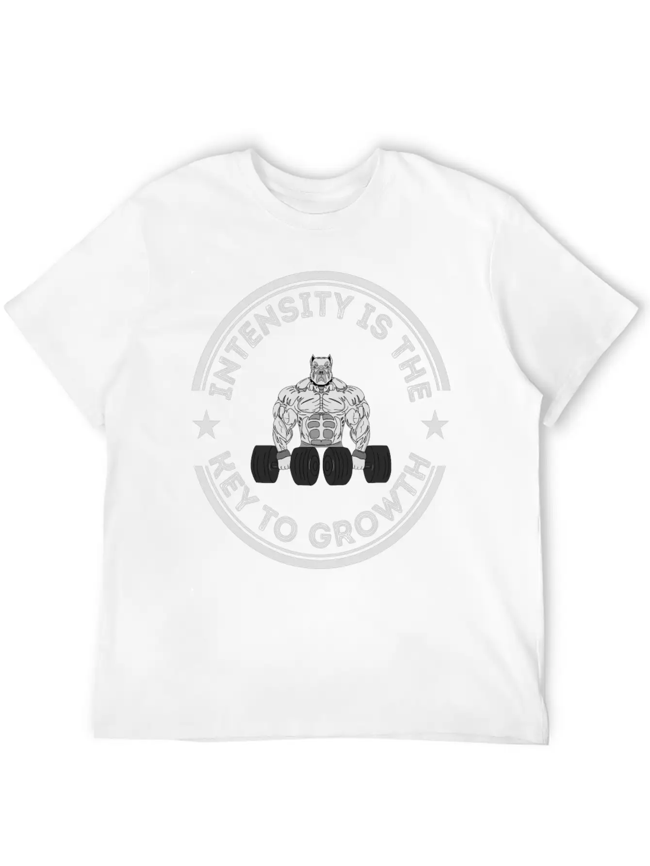 Intensity Is The Key To Growth Bodybuilder Bodybui Basic Graphic T-Shirt – Daily Comfort In Soft Cotton