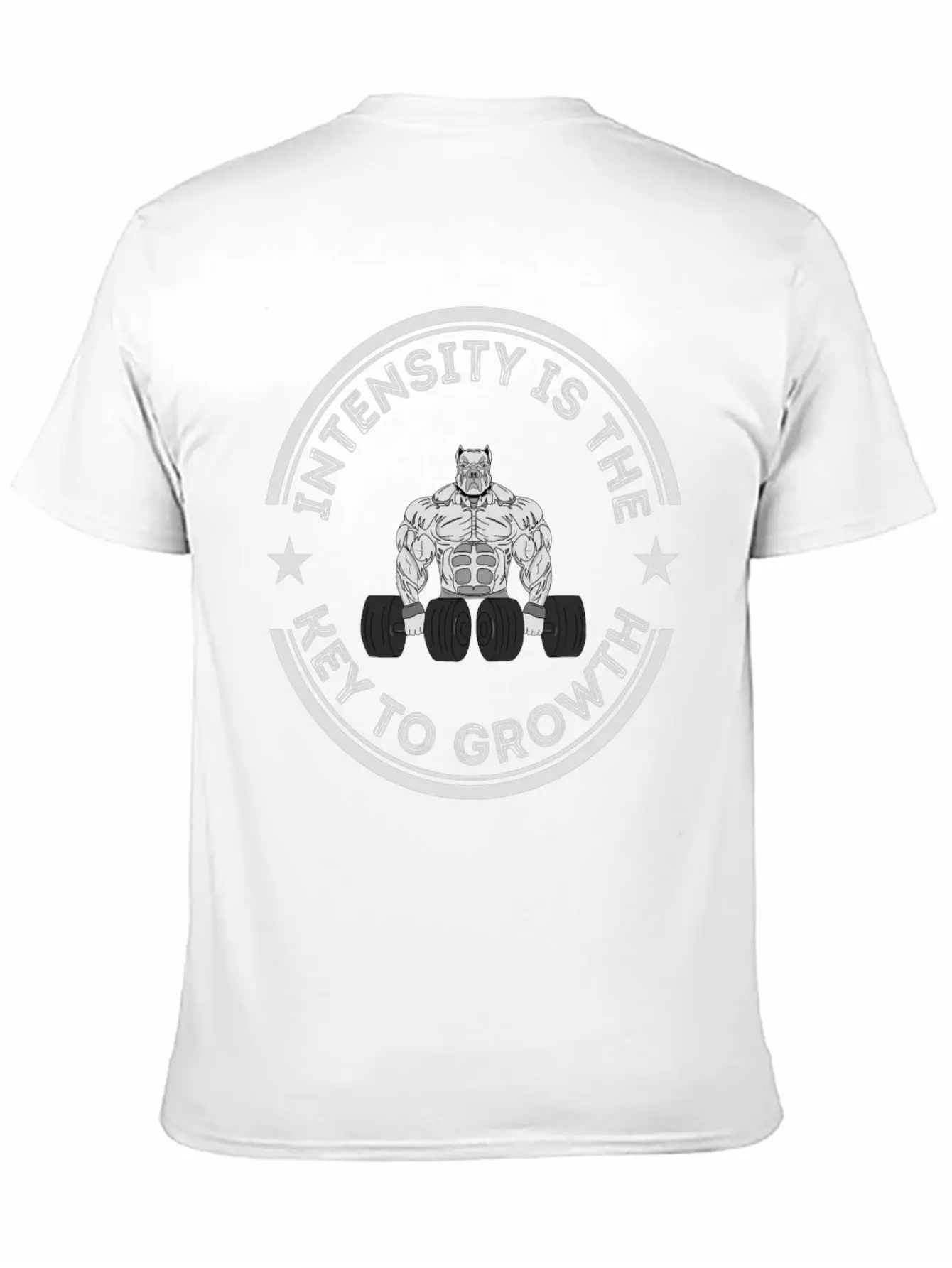 Intensity Is The Key To Growth Bodybuilder Bodybui Basic Graphic T-Shirt – Daily Comfort In Soft Cotton