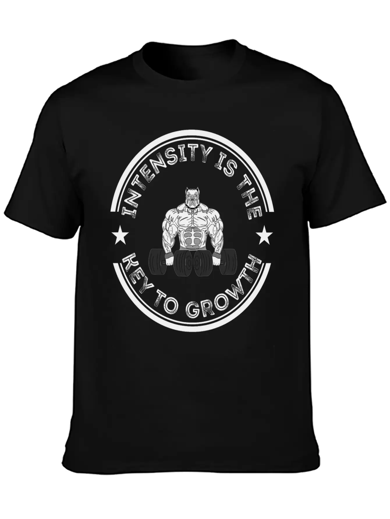 Intensity Is The Key To Growth Bodybuilder Bodybui Basic Graphic T-Shirt – Daily Comfort In Soft Cotton