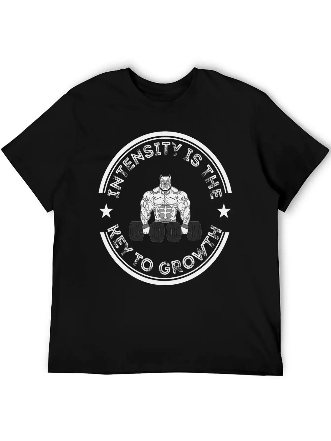Intensity Is The Key To Growth Bodybuilder Bodybui Basic Graphic T-Shirt – Daily Comfort In Soft Cotton