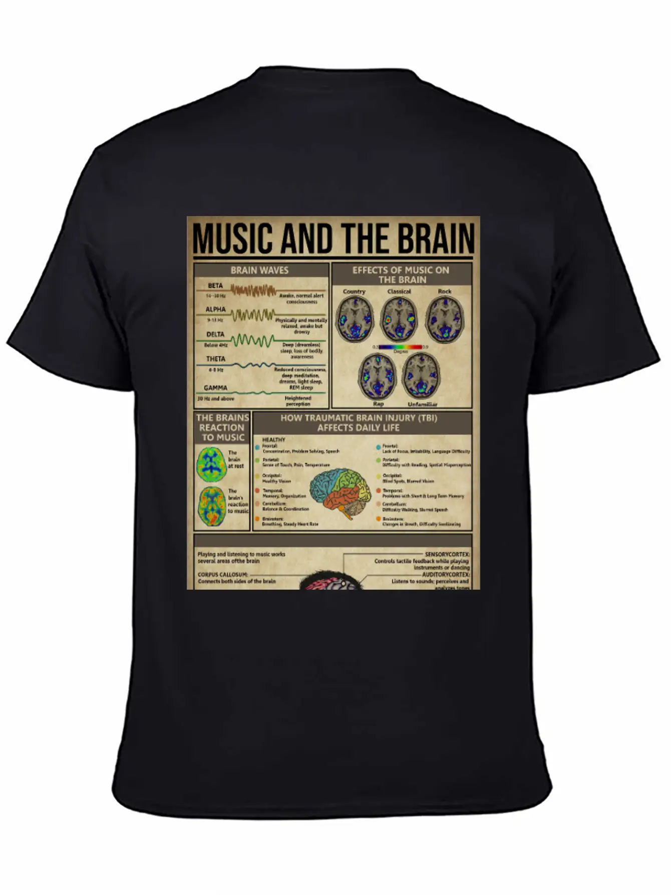 Music And Brain Music Knowledge Poster Basic Graphic T-Shirt – Daily Comfort In Soft Cotton
