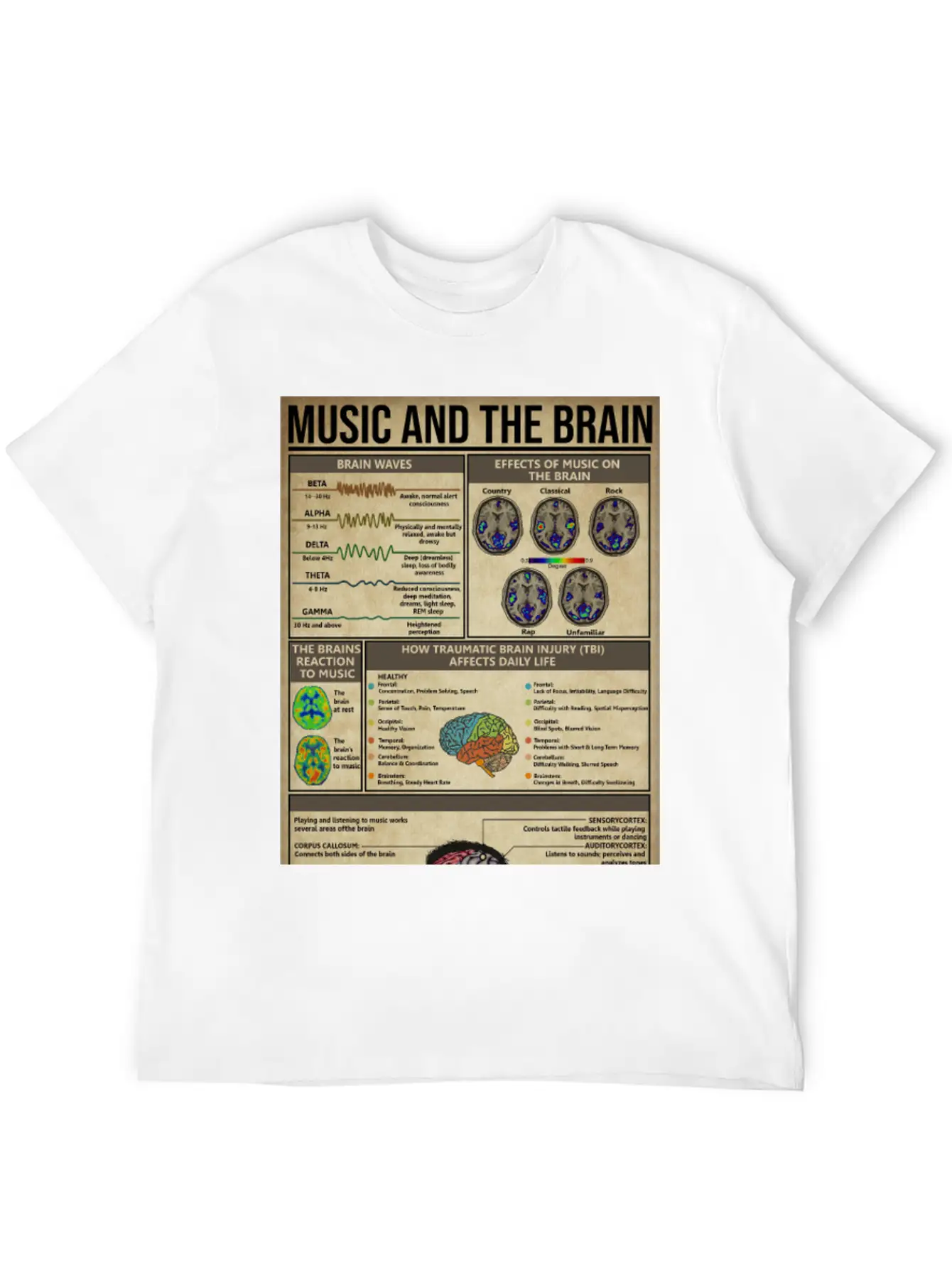 Music And Brain Music Knowledge Poster Basic Graphic T-Shirt – Daily Comfort In Soft Cotton