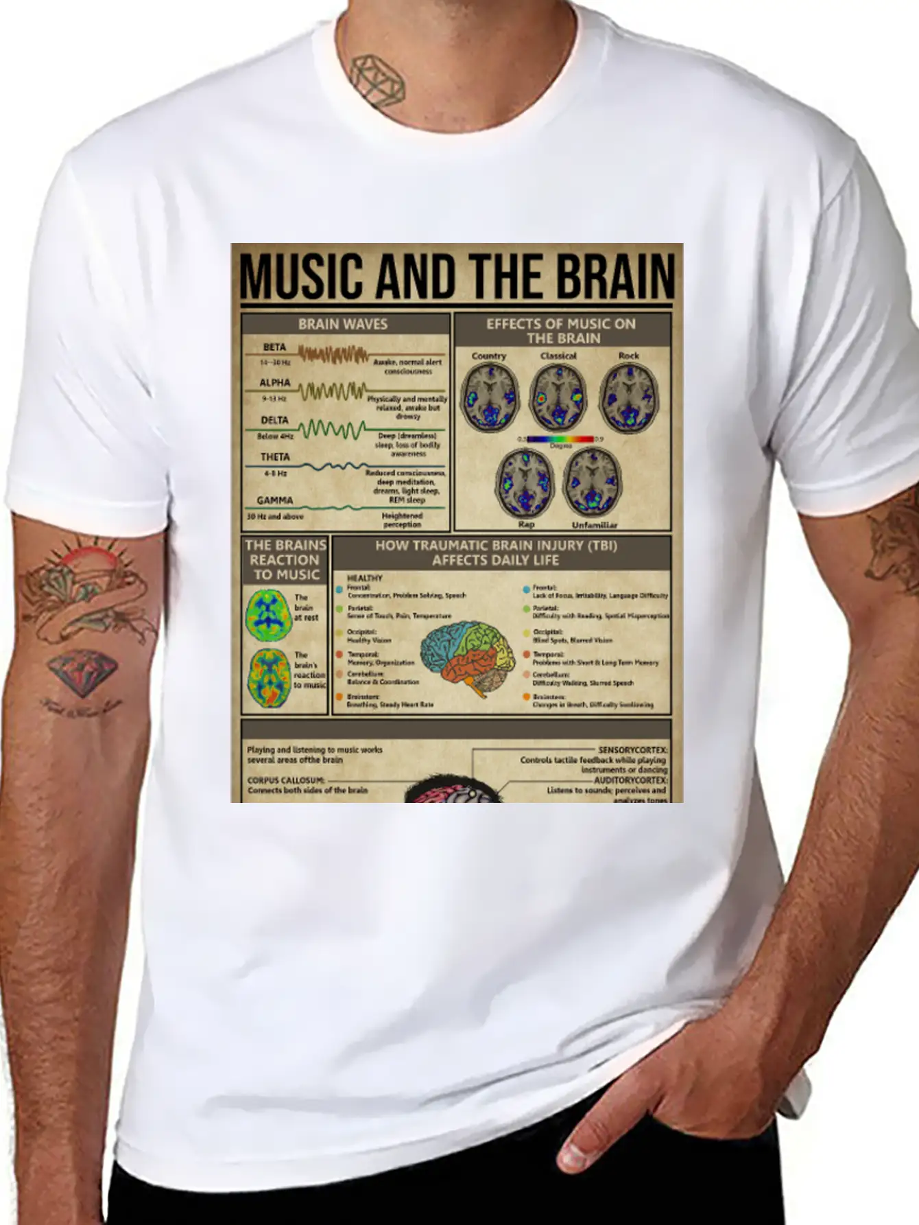 Music And Brain Music Knowledge Poster Basic Graphic T-Shirt – Daily Comfort In Soft Cotton