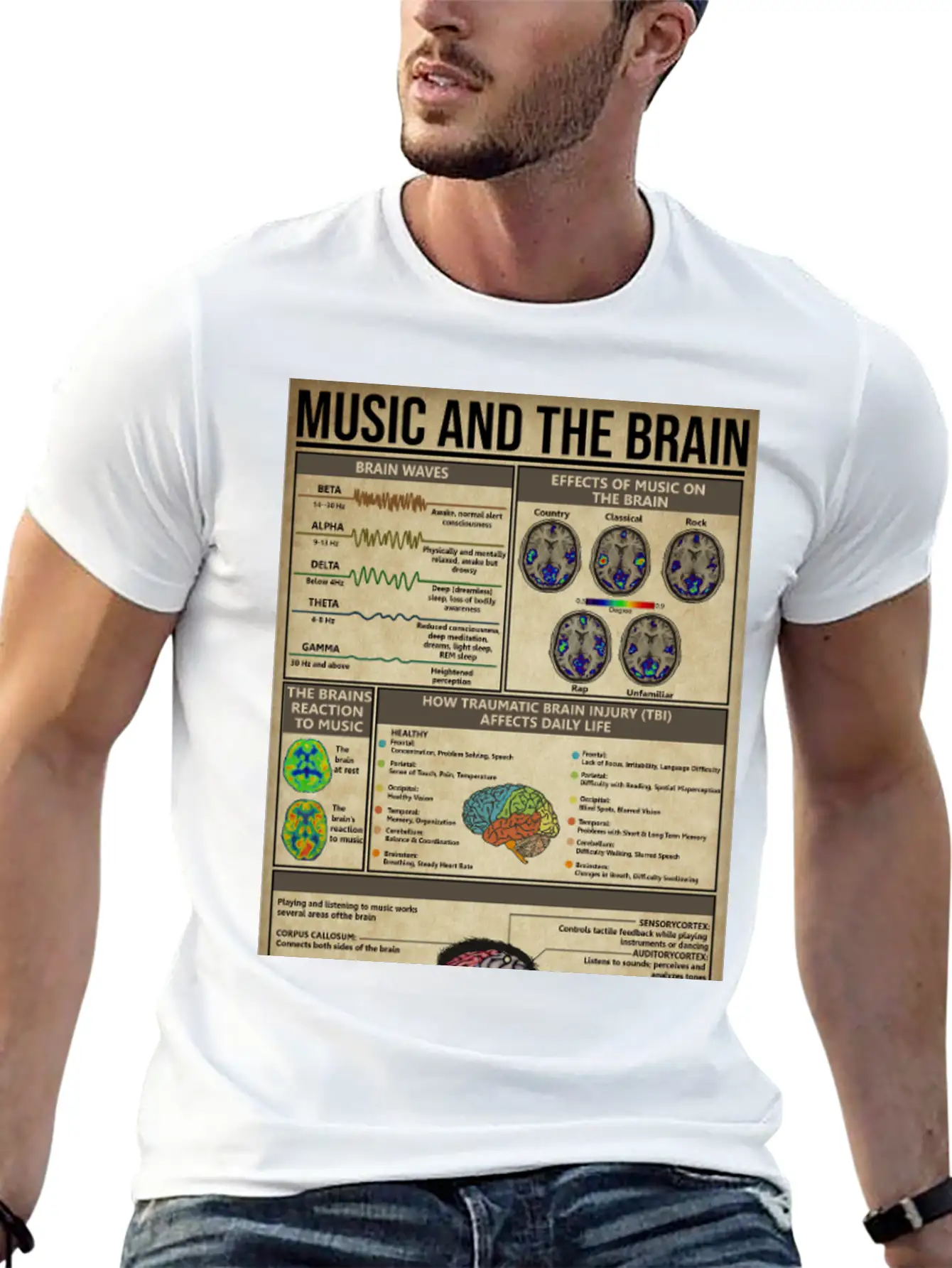 Music And Brain Music Knowledge Poster Basic Graphic T-Shirt – Daily Comfort In Soft Cotton