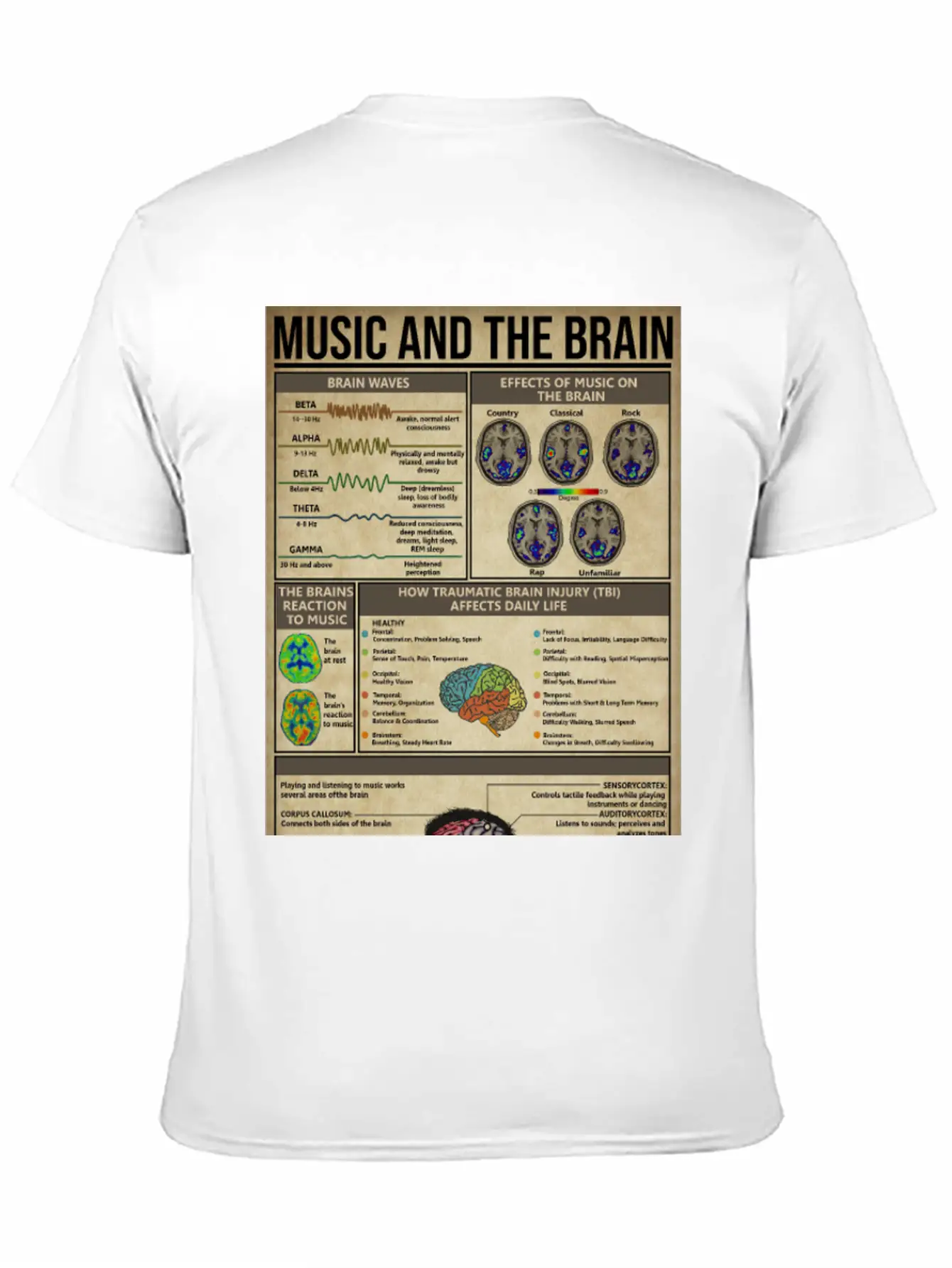 Music And Brain Music Knowledge Poster Basic Graphic T-Shirt – Daily Comfort In Soft Cotton