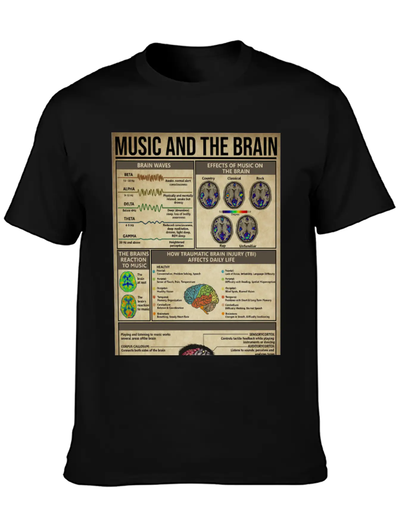 Music And Brain Music Knowledge Poster Basic Graphic T-Shirt – Daily Comfort In Soft Cotton