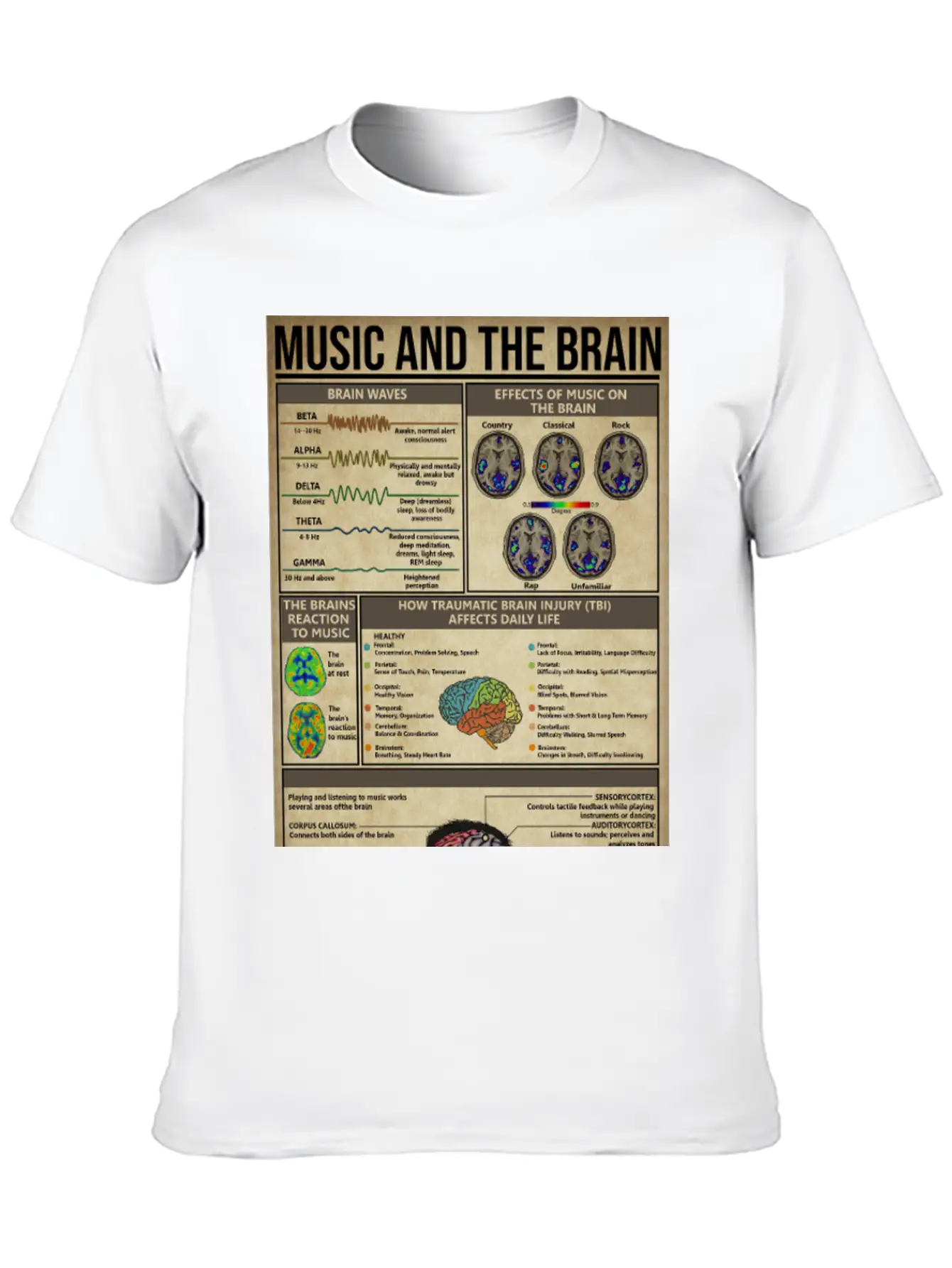Music And Brain Music Knowledge Poster Basic Graphic T-Shirt – Daily Comfort In Soft Cotton