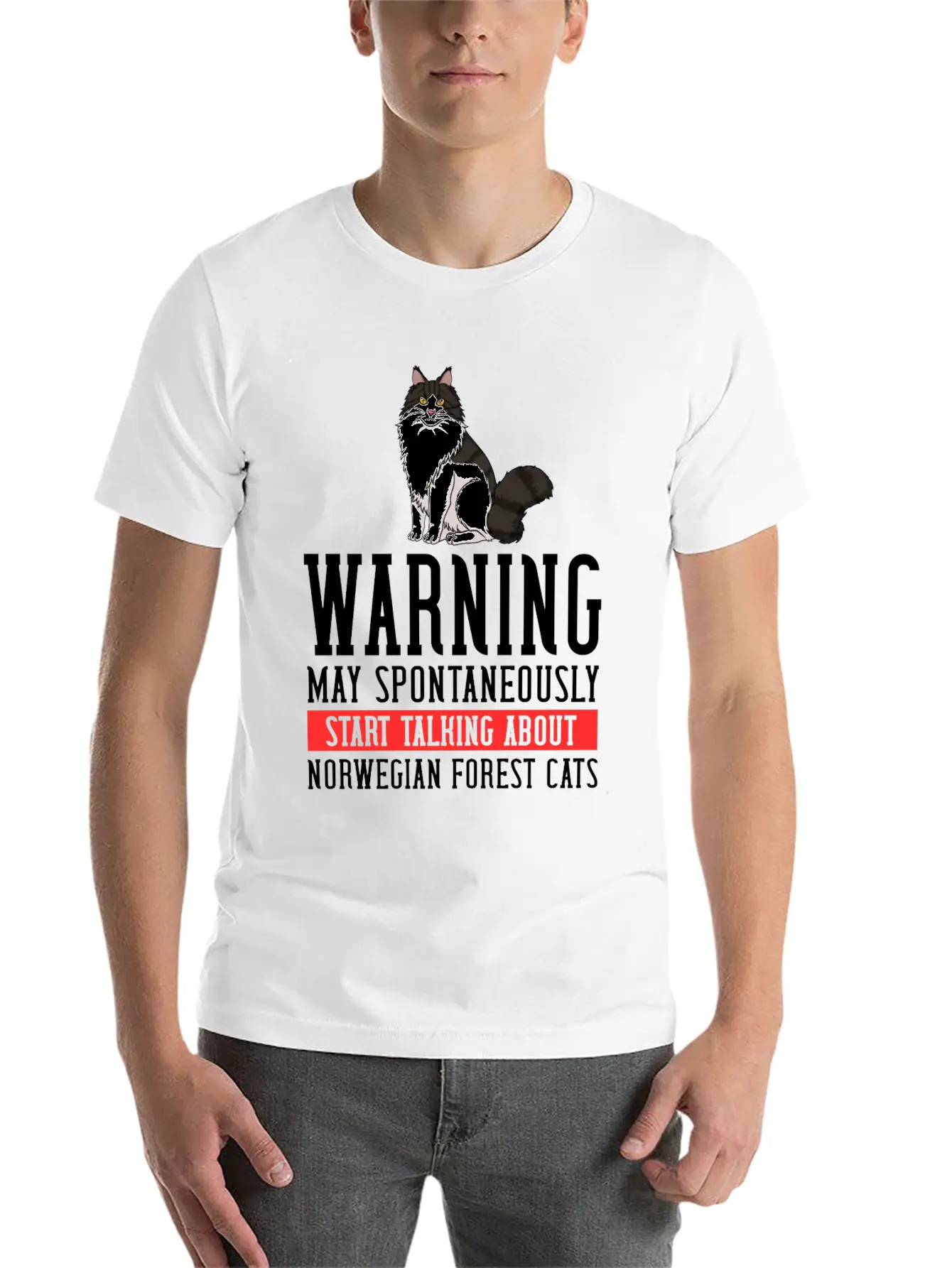 Norwegian Forest Cat Gift Kitten Owner Lover Comfortable Minimalist Graphic Tee – Summer Style Essential
