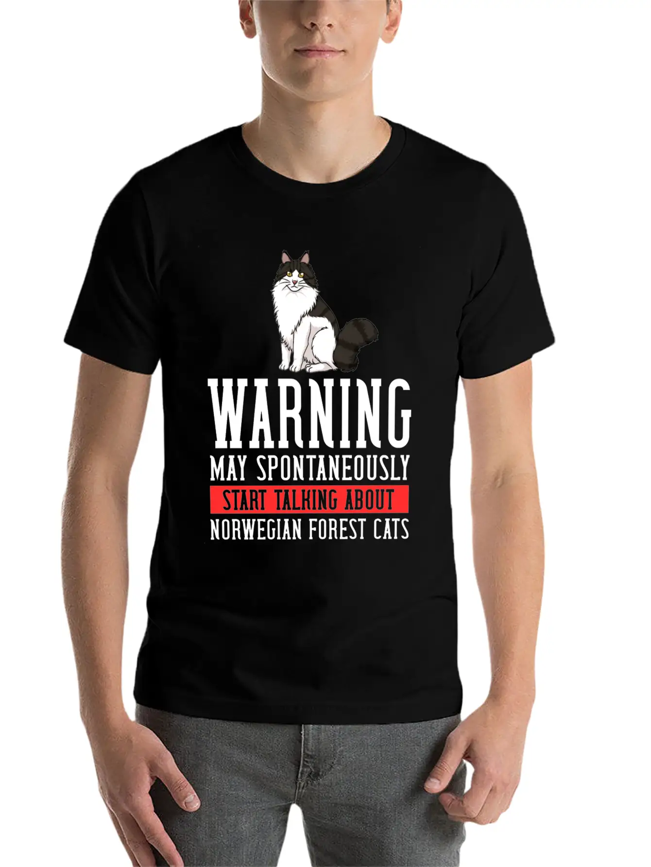 Norwegian Forest Cat Gift Kitten Owner Lover Comfortable Minimalist Graphic Tee – Summer Style Essential