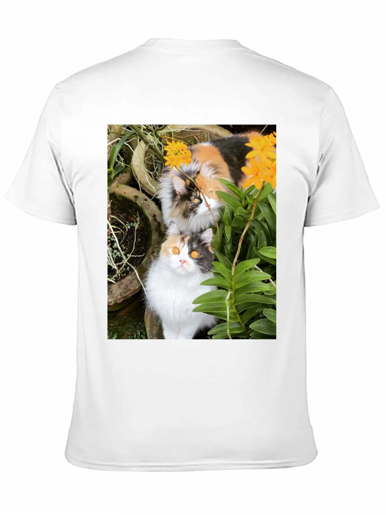 Penny & Patchi In 'Orchid Garden' Essential Unisex Summer Tee – Soft Cotton Casual Fit