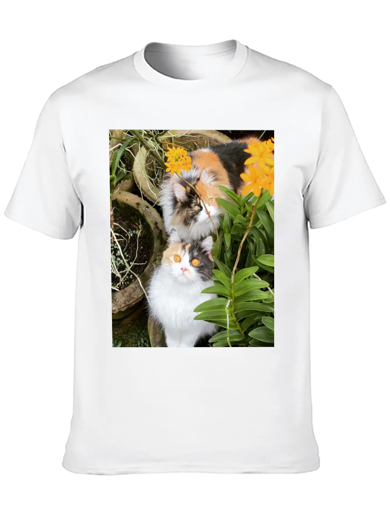 Penny & Patchi In 'Orchid Garden' Essential Unisex Summer Tee – Soft Cotton Casual Fit