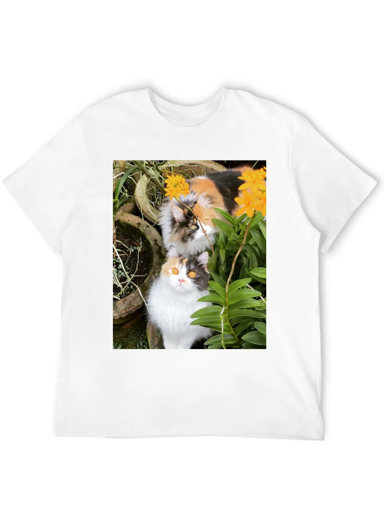 Penny & Patchi In 'Orchid Garden' Essential Unisex Summer Tee – Soft Cotton Casual Fit