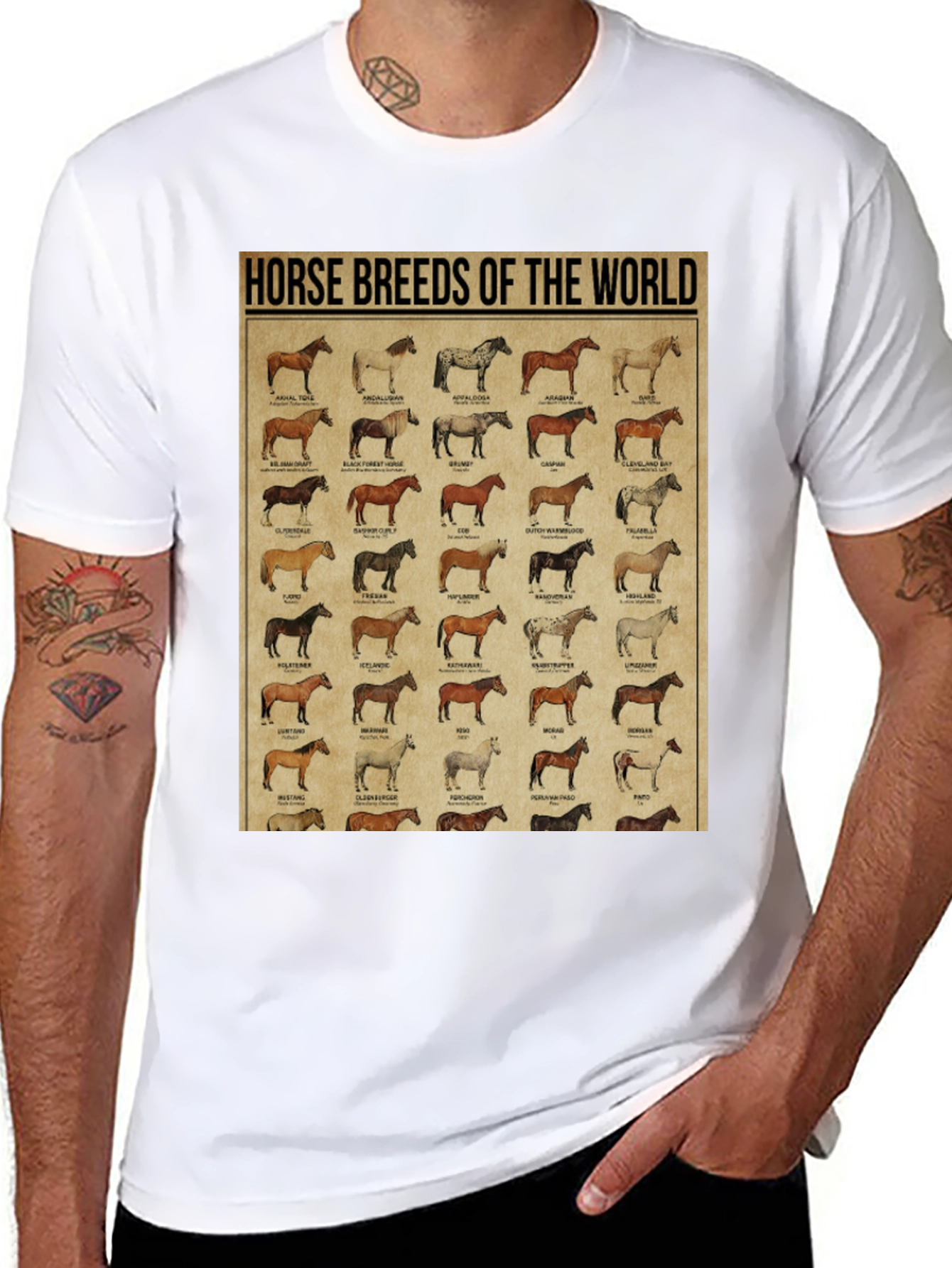 Horse Breeds of the World Graphic Tee