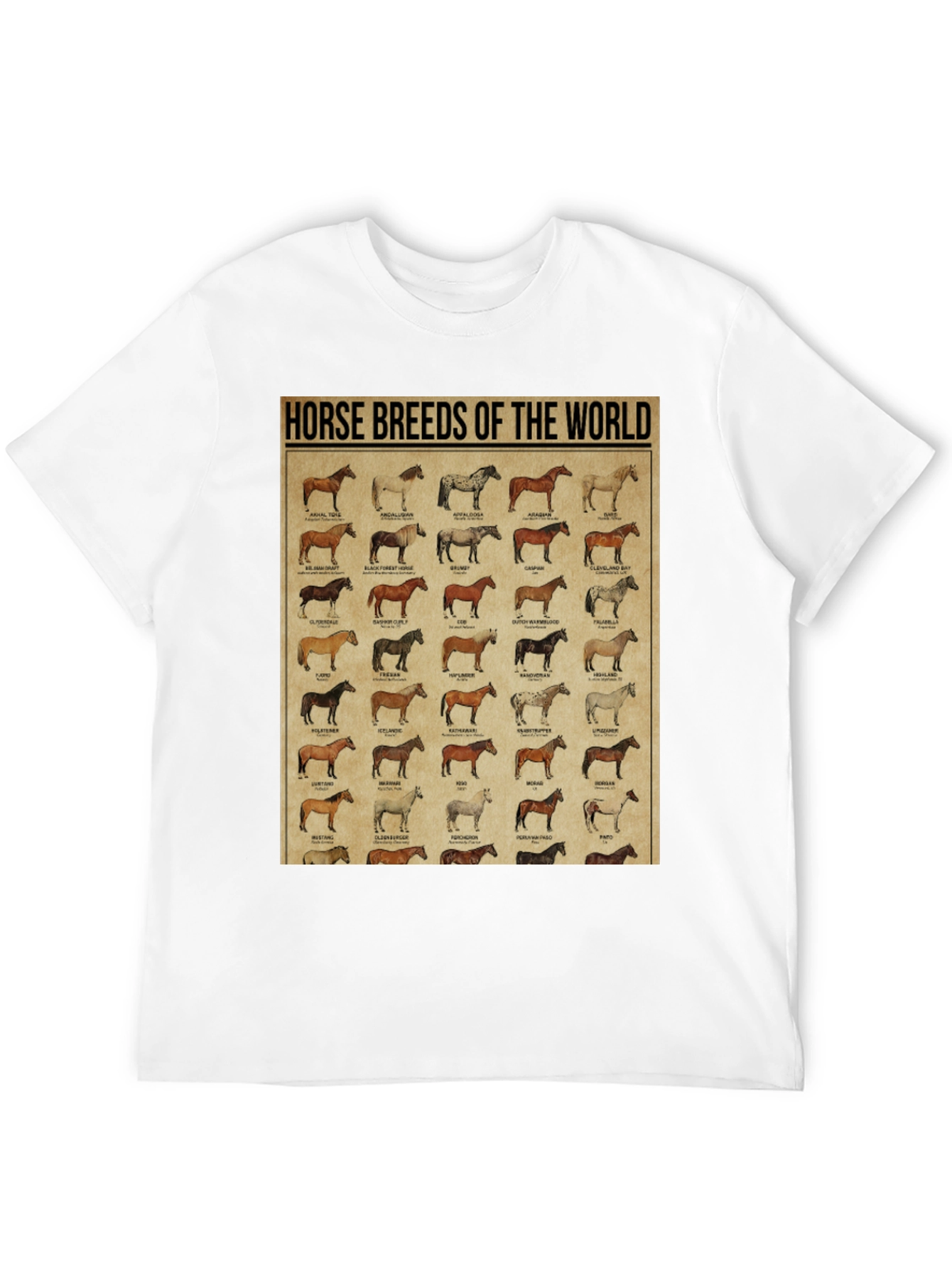 Horse Breeds of the World Graphic Tee