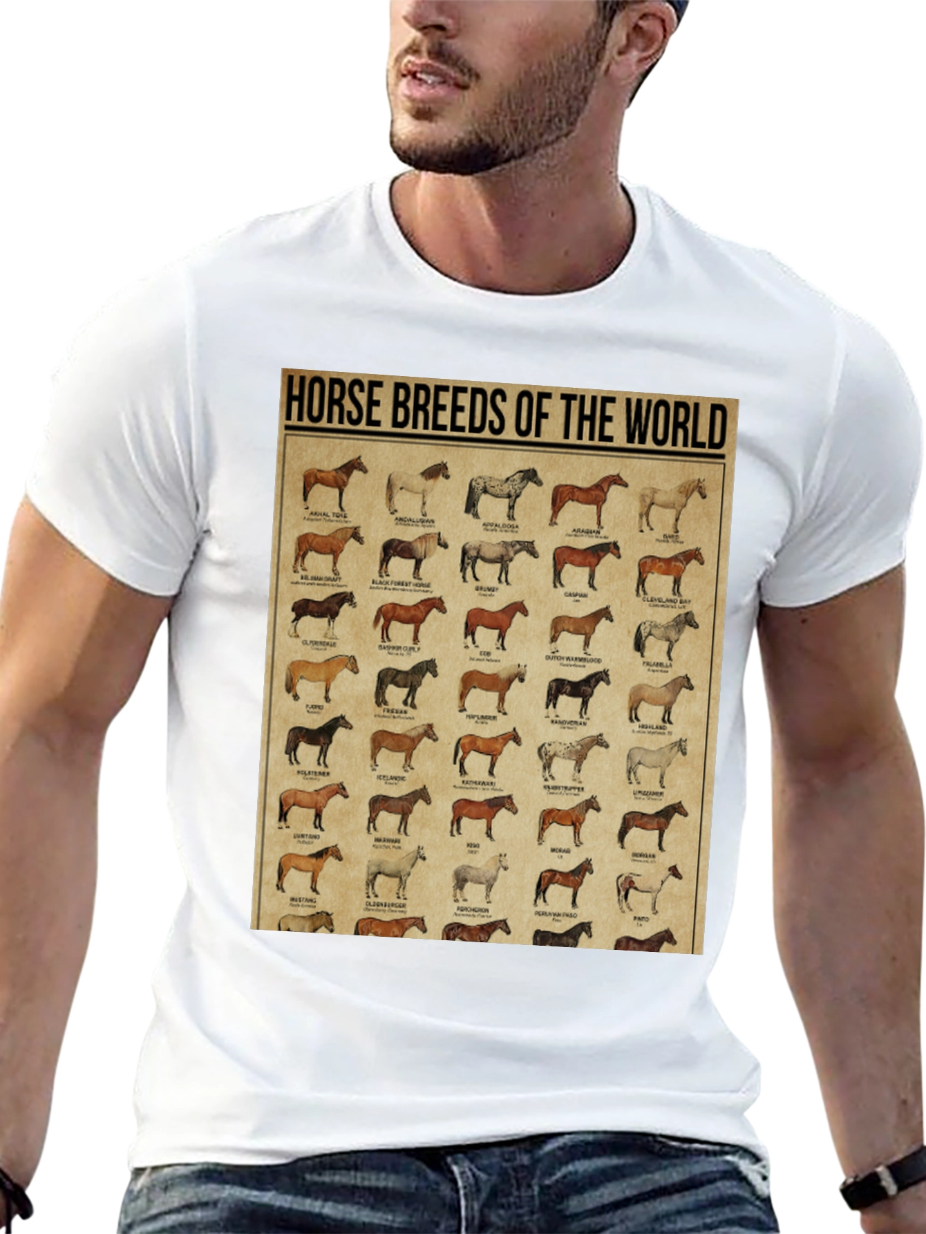 Horse Breeds of the World Graphic Tee