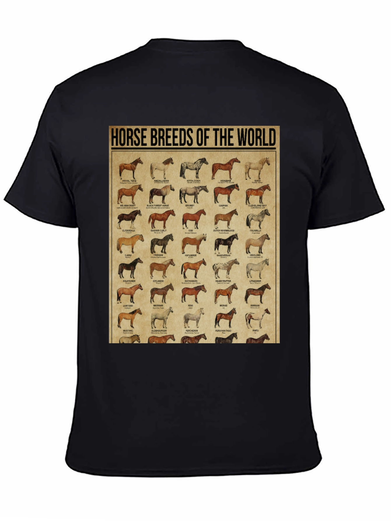 Horse Breeds of the World Graphic Tee